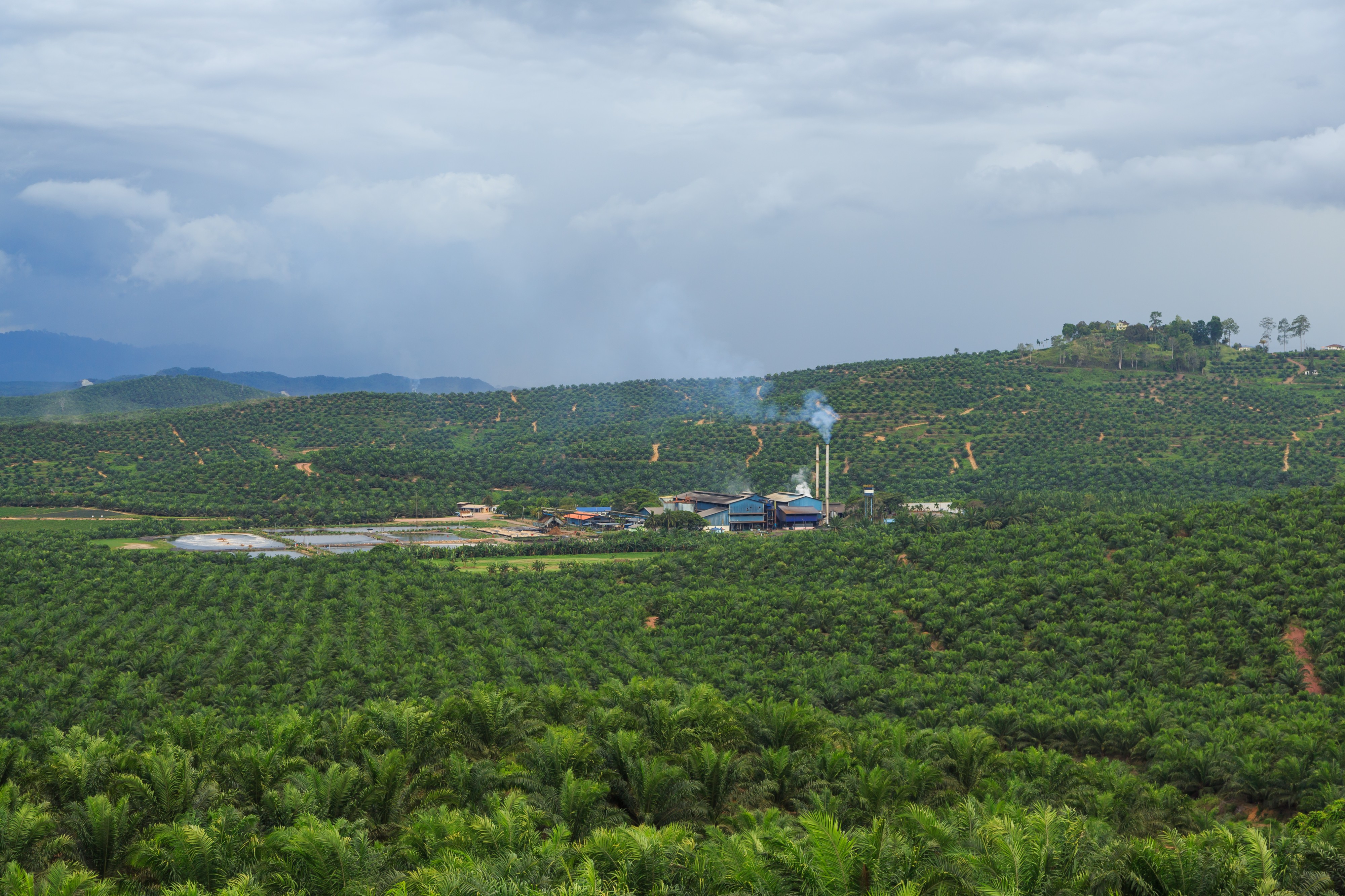 District-Kunak Sabah IOI-Baturong-Palm-Oil-Mill-02