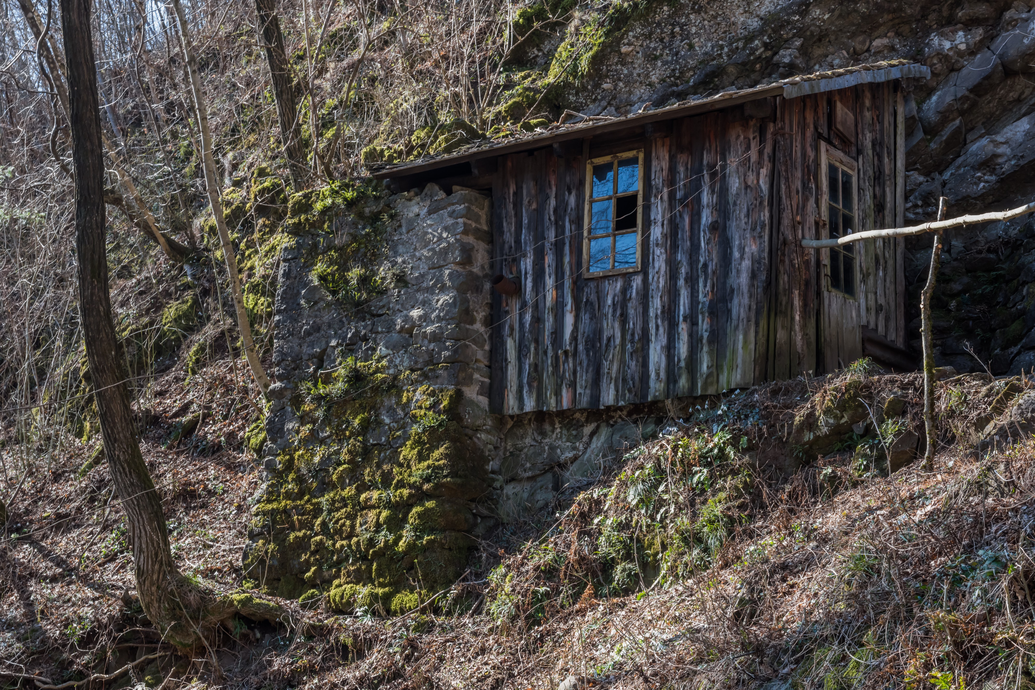 Flitsch oesterr-ungar Frontlinie Holzhuette an Seilbahn 10032015 0655