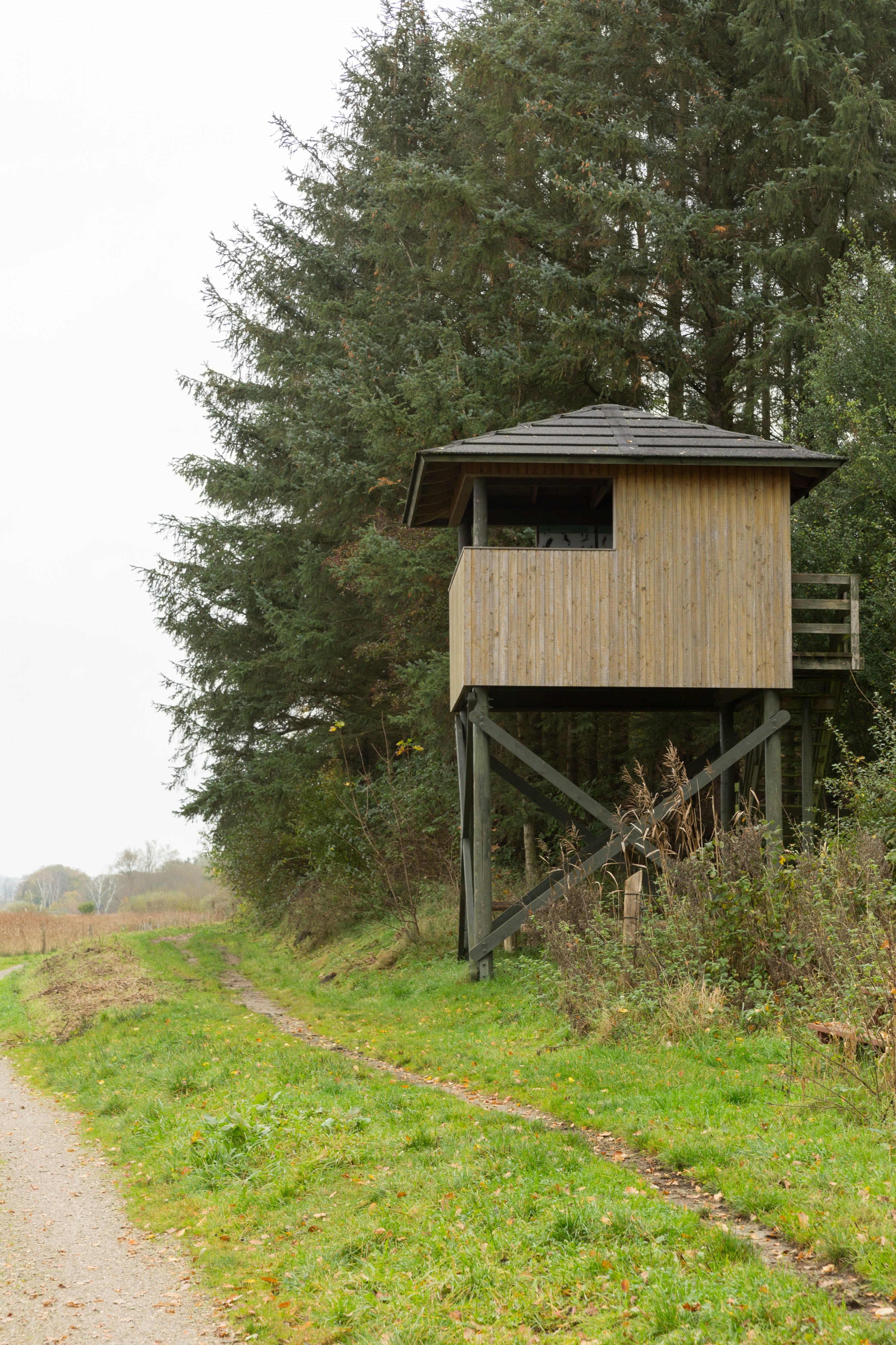 Fugletårn på sydsiden af Årslev Engsø