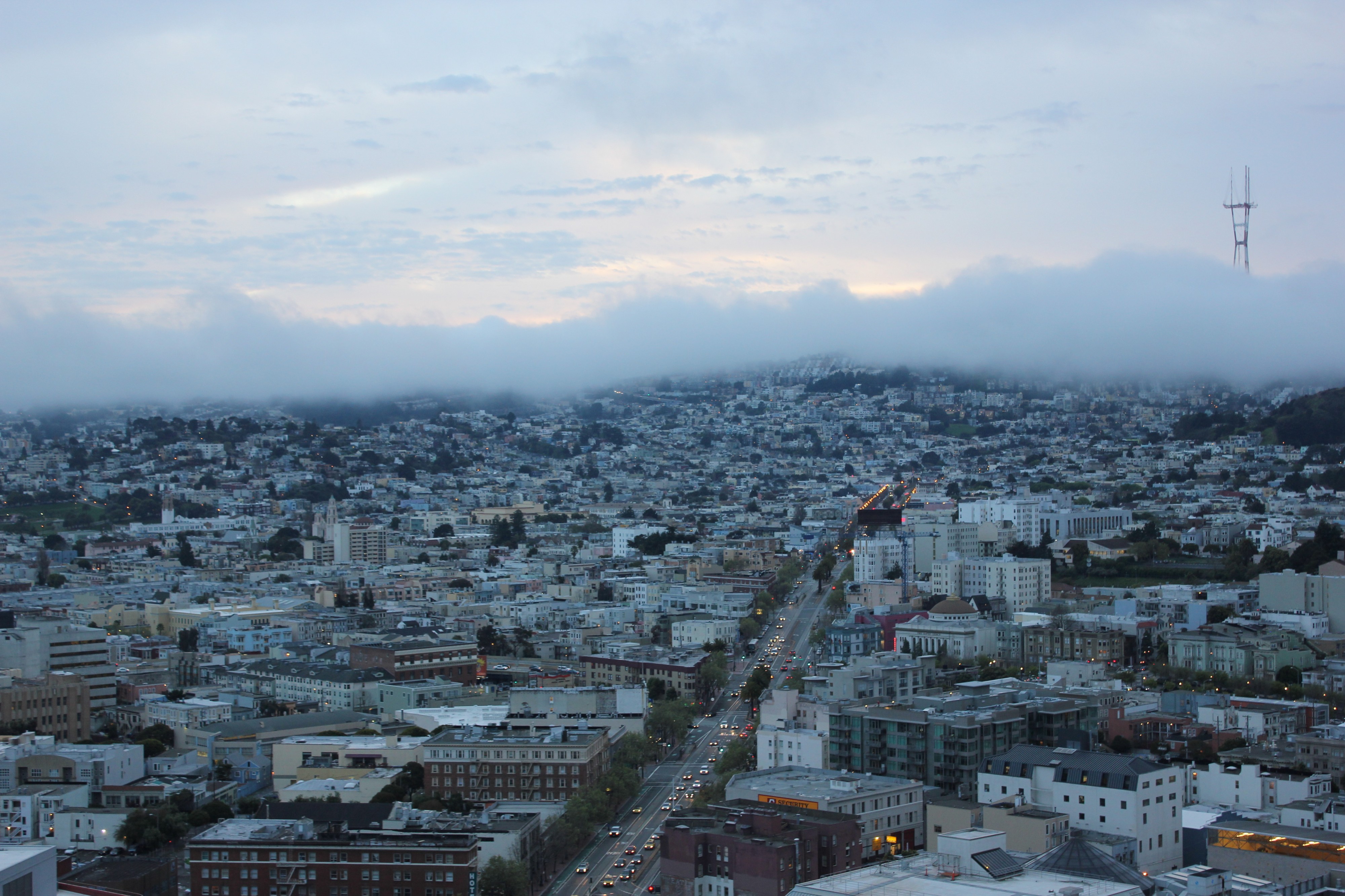 Laika ac Sutro Tower (7548092482)