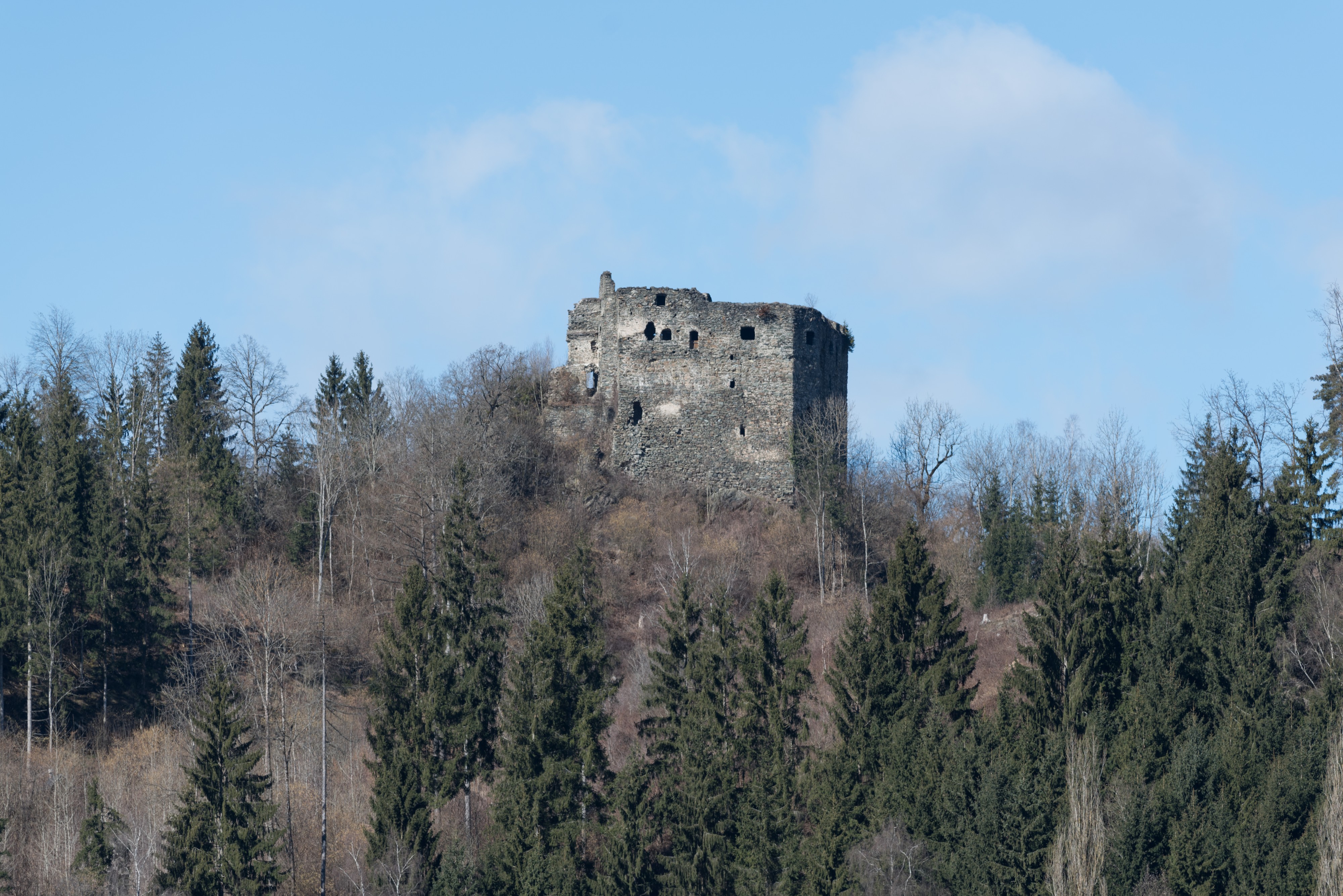 Liebenfels Hardegg Burgruine 03032015 0331