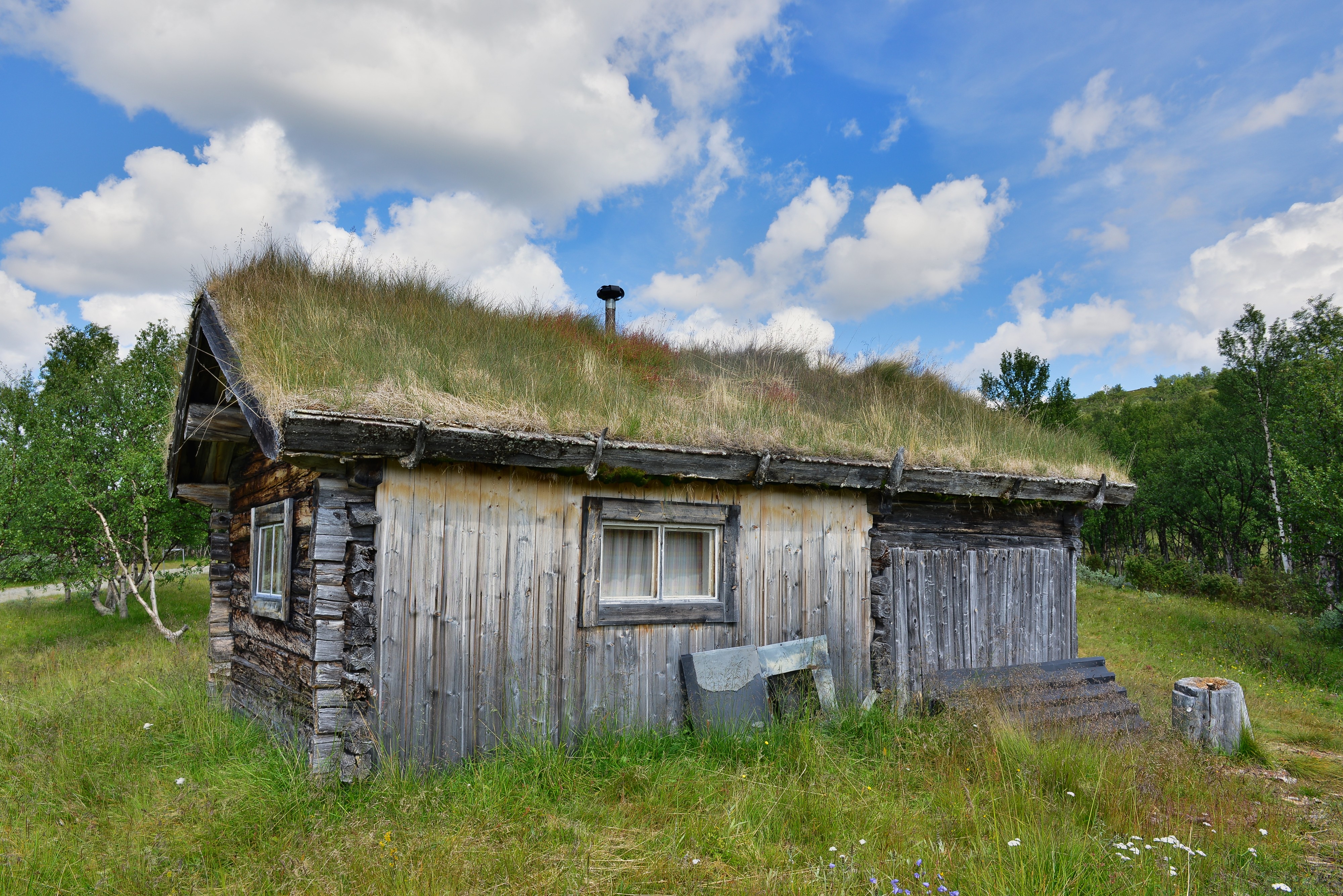 Ljungris July 2013 01