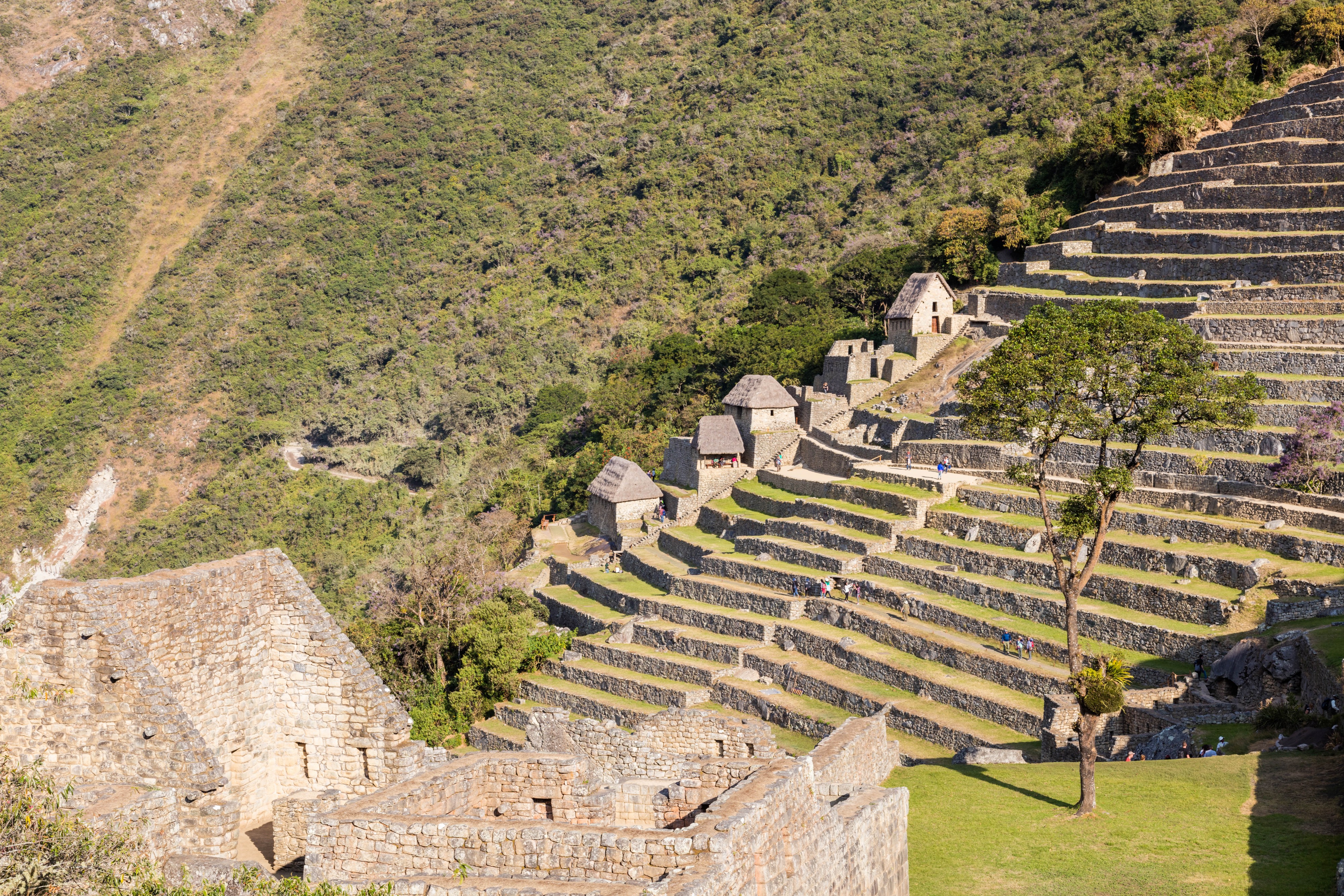 Machu Picchu, Perú, 2015-07-30, DD 44