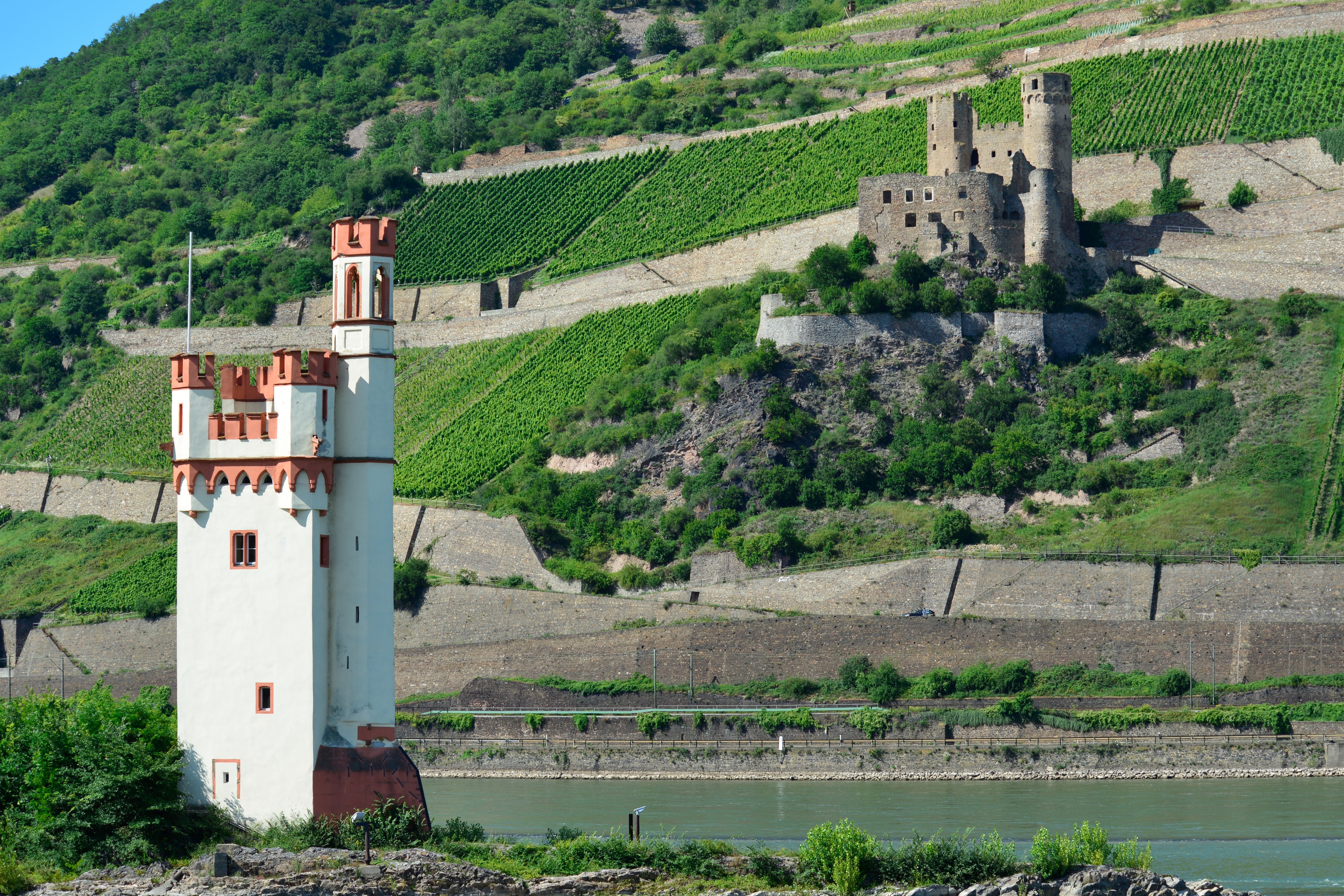 Maeuseturm Burg Ehrenfels Bingen Rhein