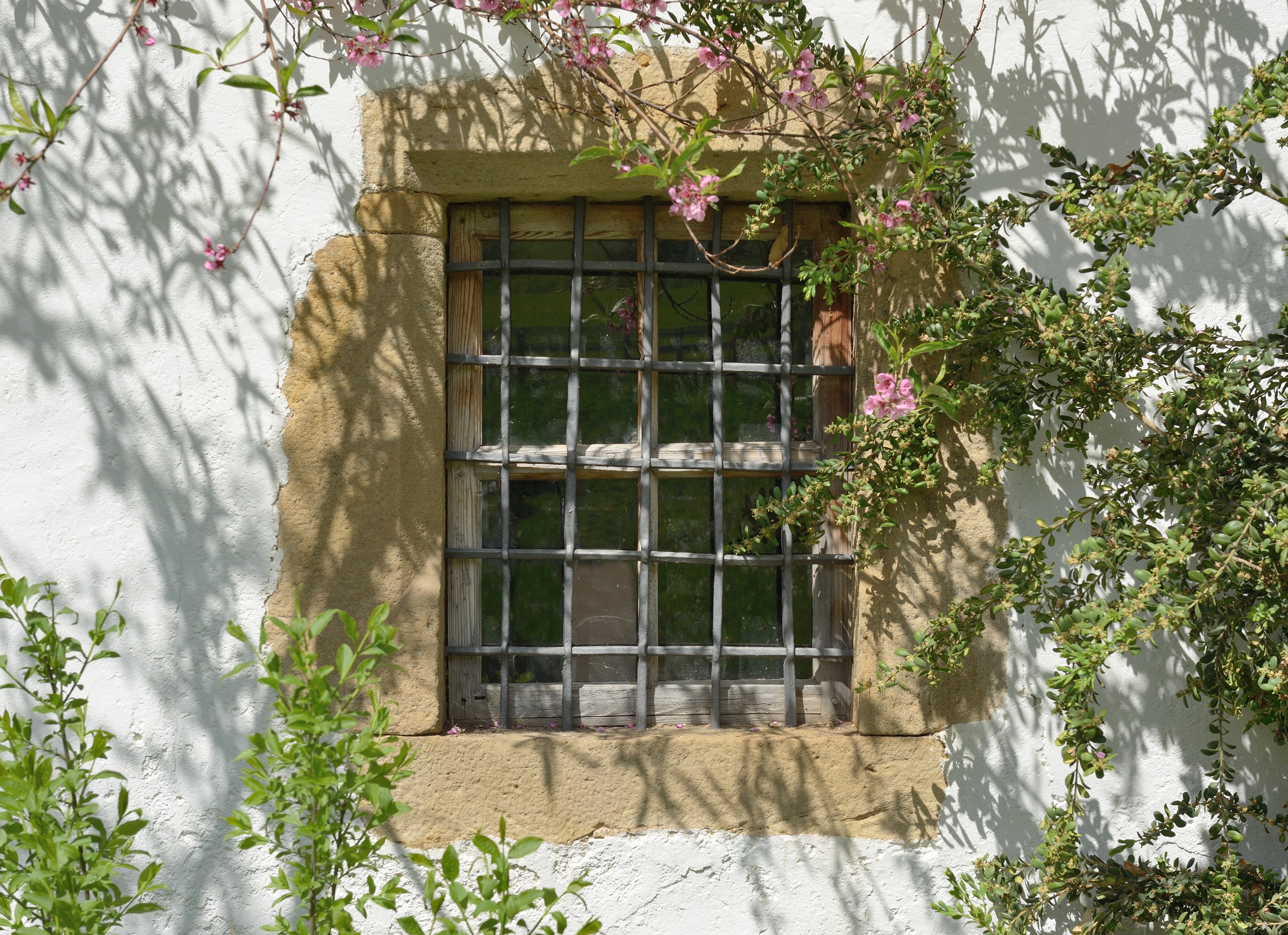 Mair Hof Völs am Schlern Fenster