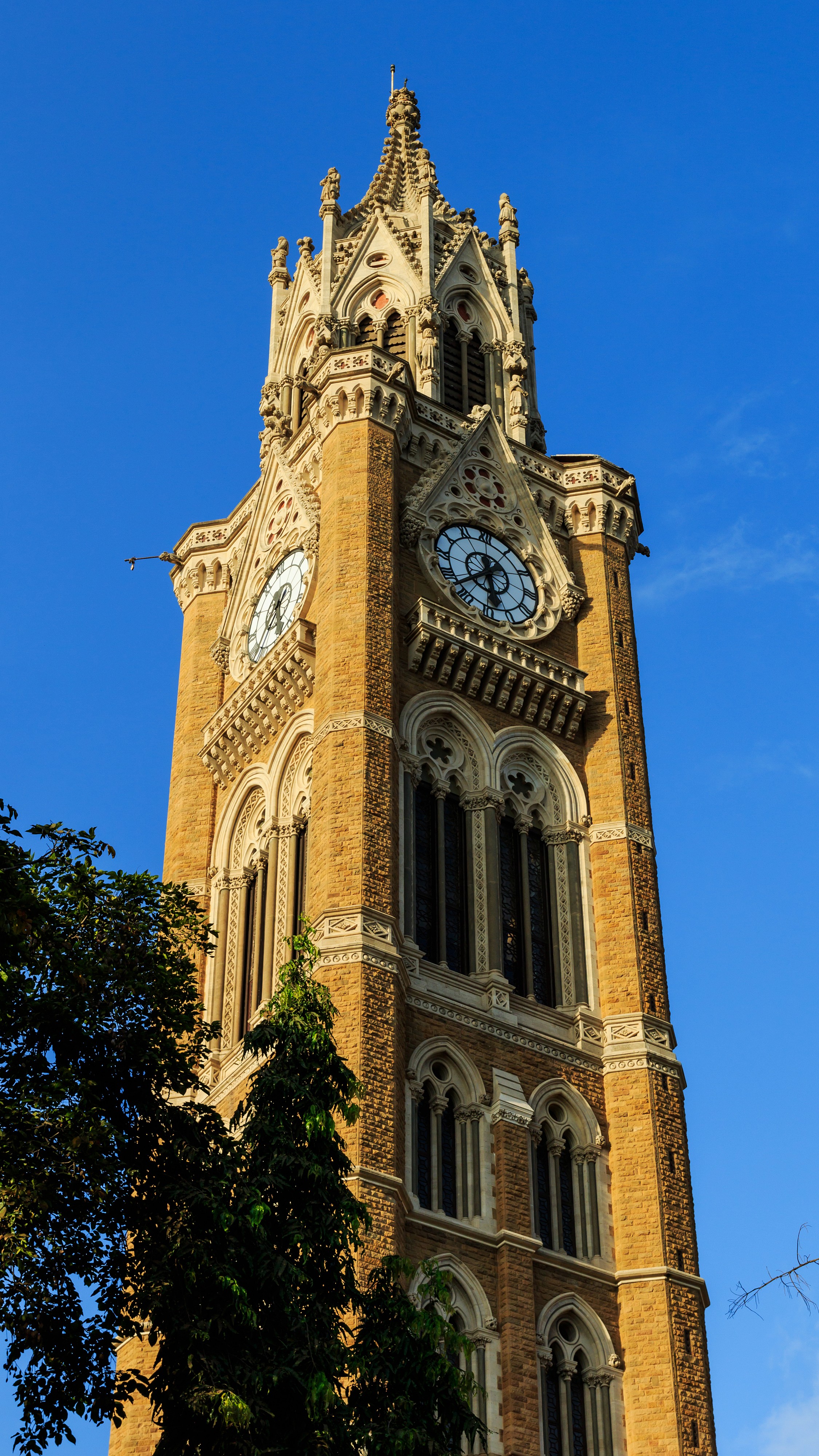 Mumbai 03-2016 38 University