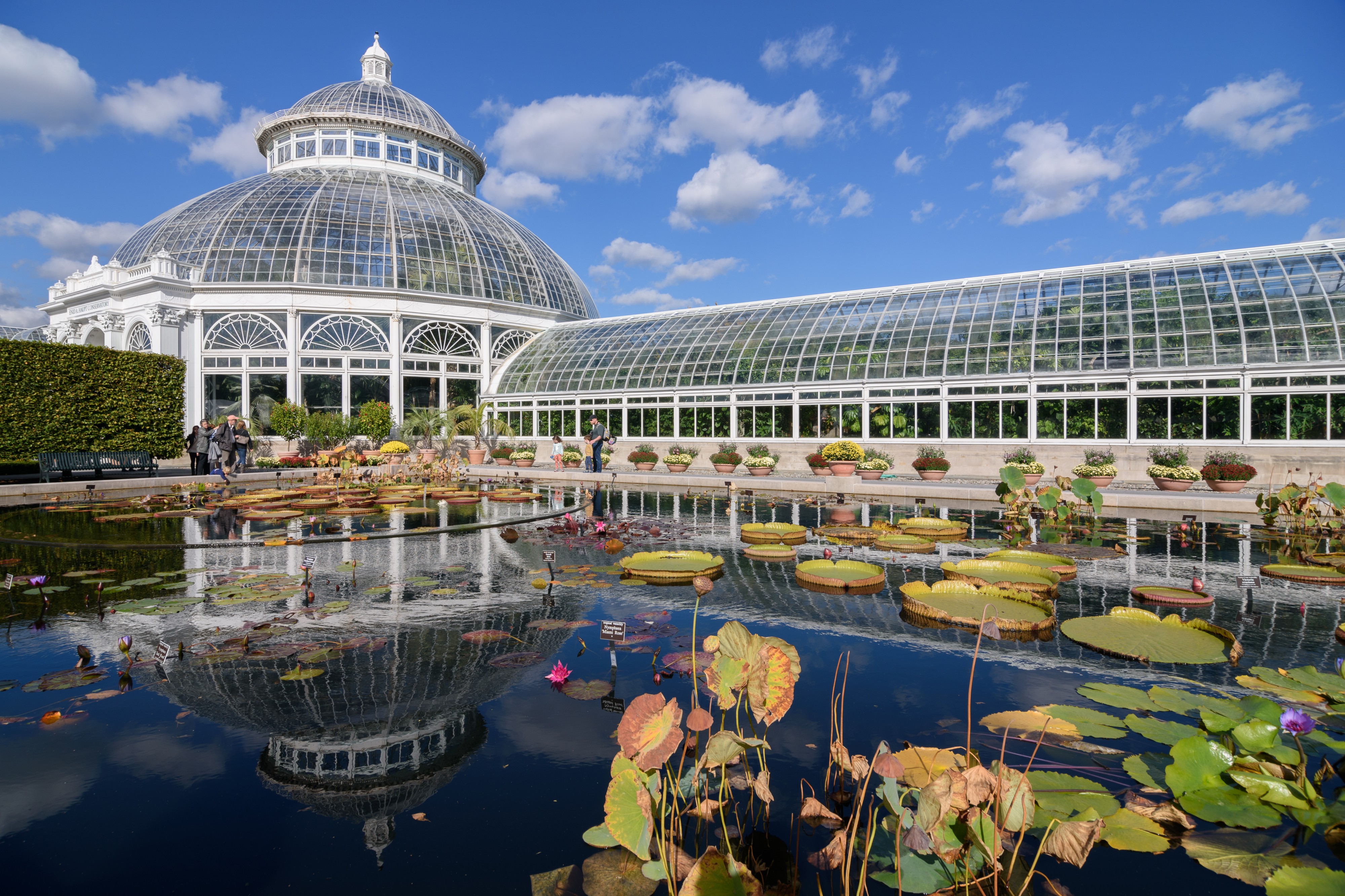 New York Botanical Garden October 2016 004