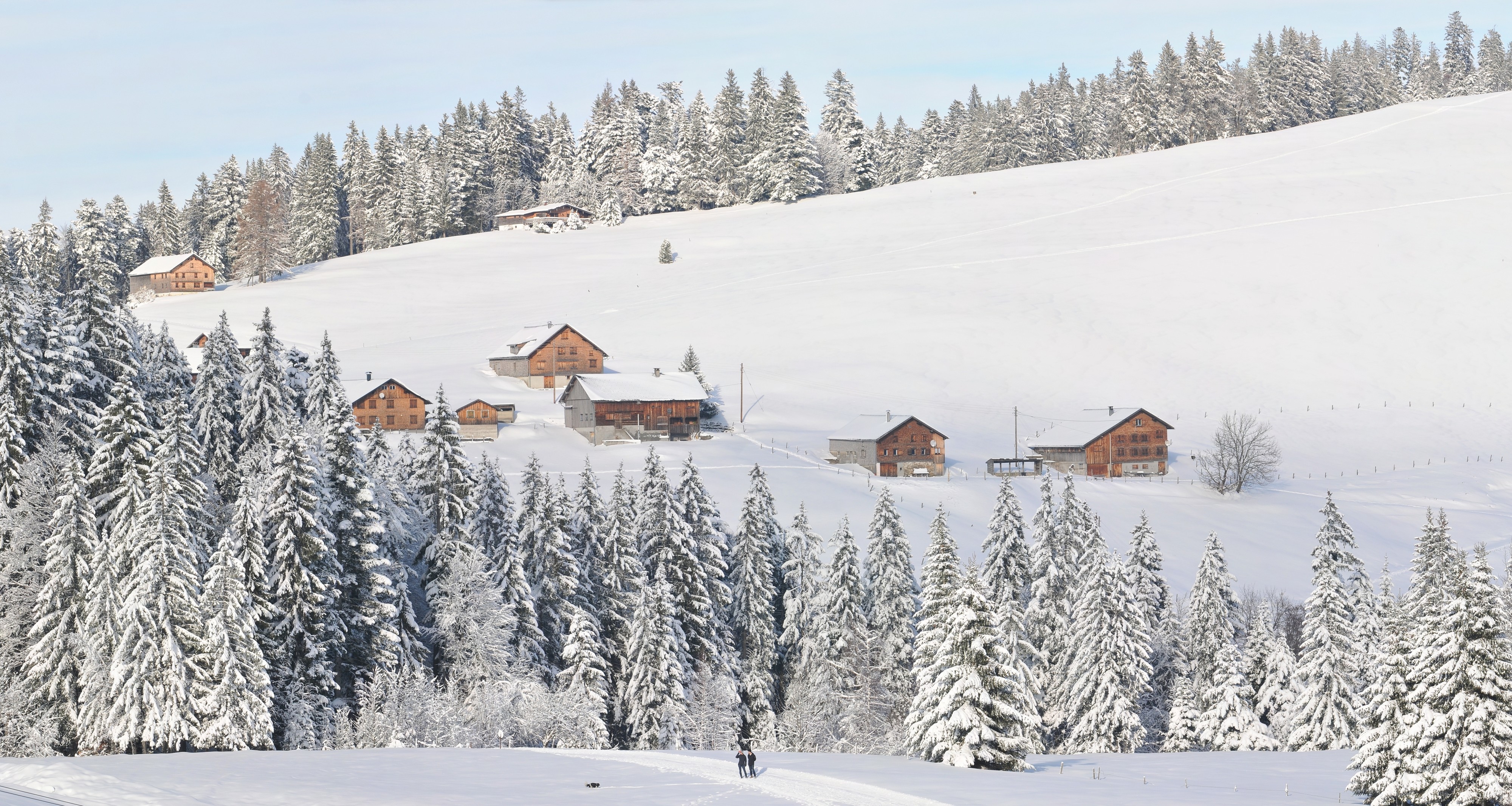 Oberer Geißkopf, Schwarzenberg Vorarlberg 4