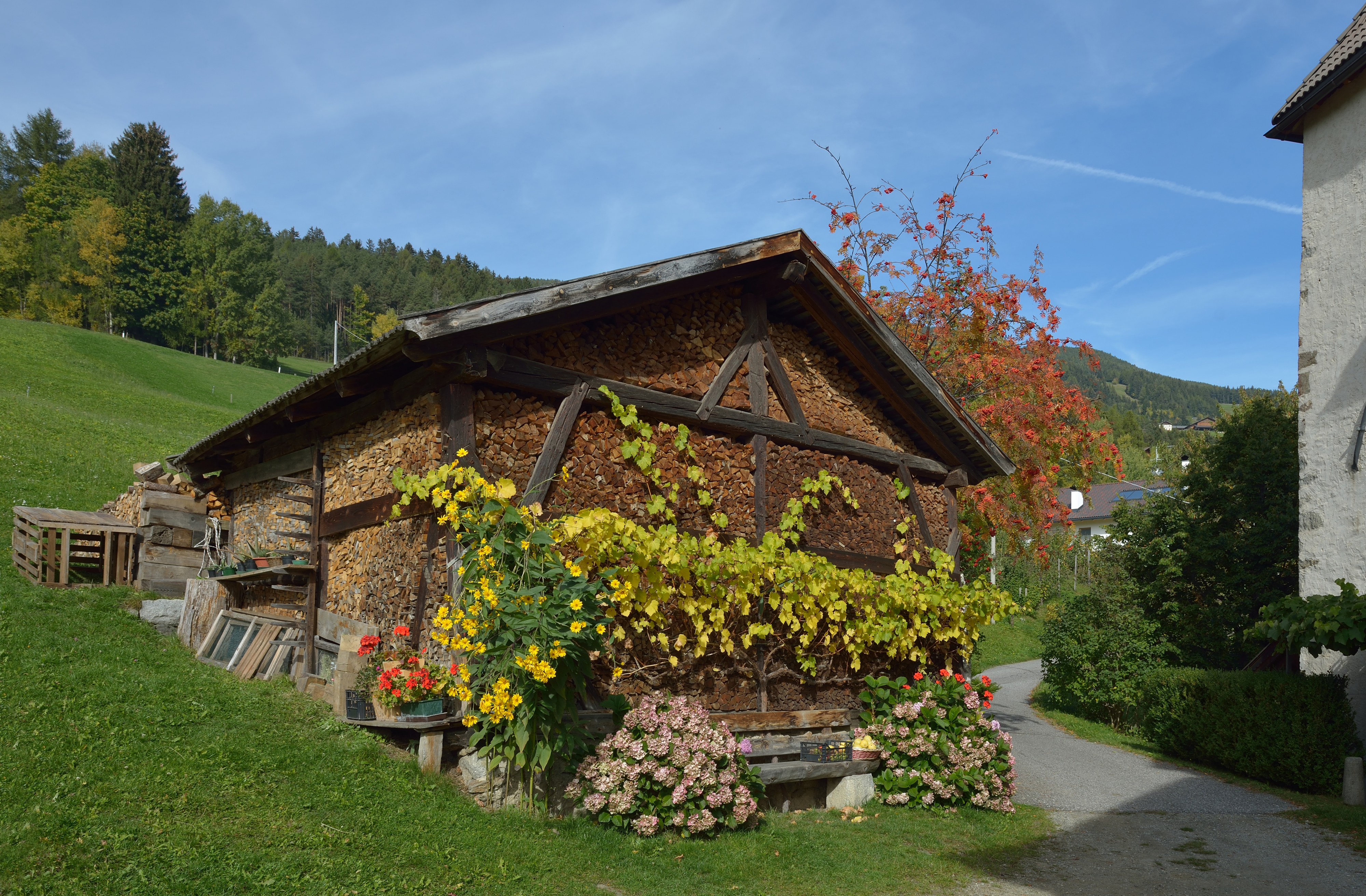 Pardell Villanders Holzhütte