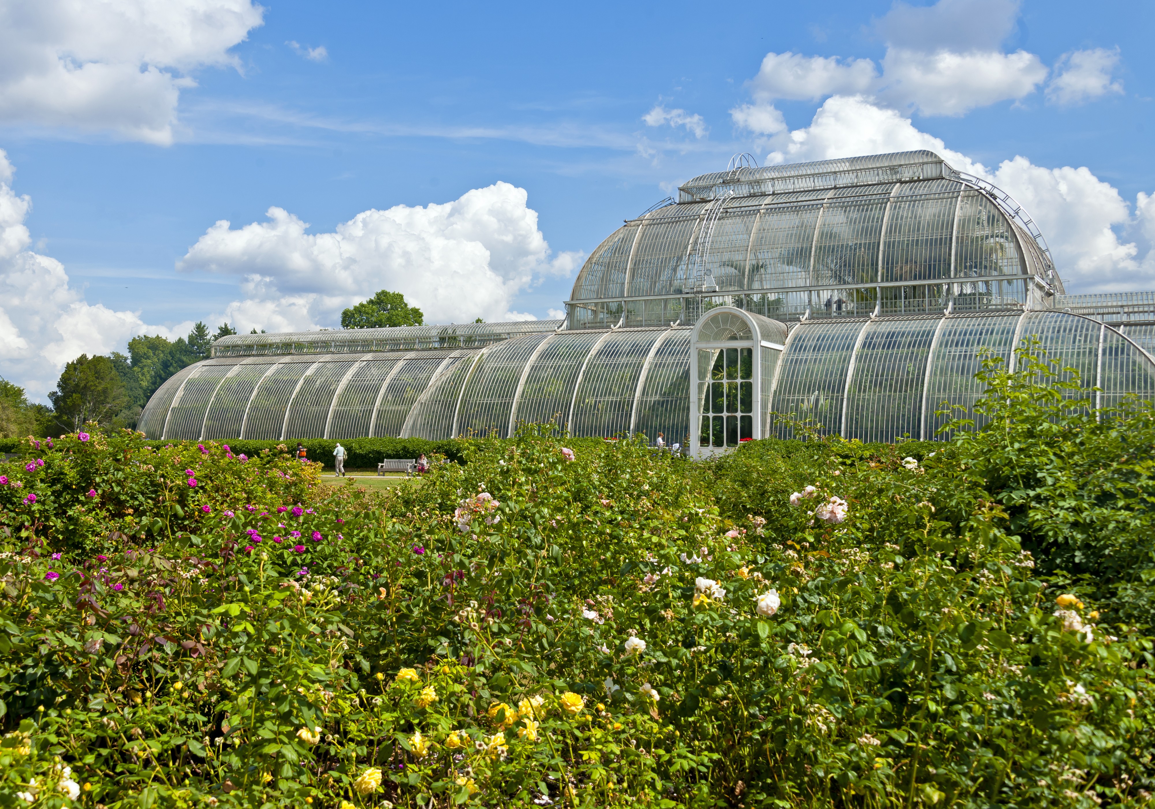 Plantings behind Palm House, Kew Gardens