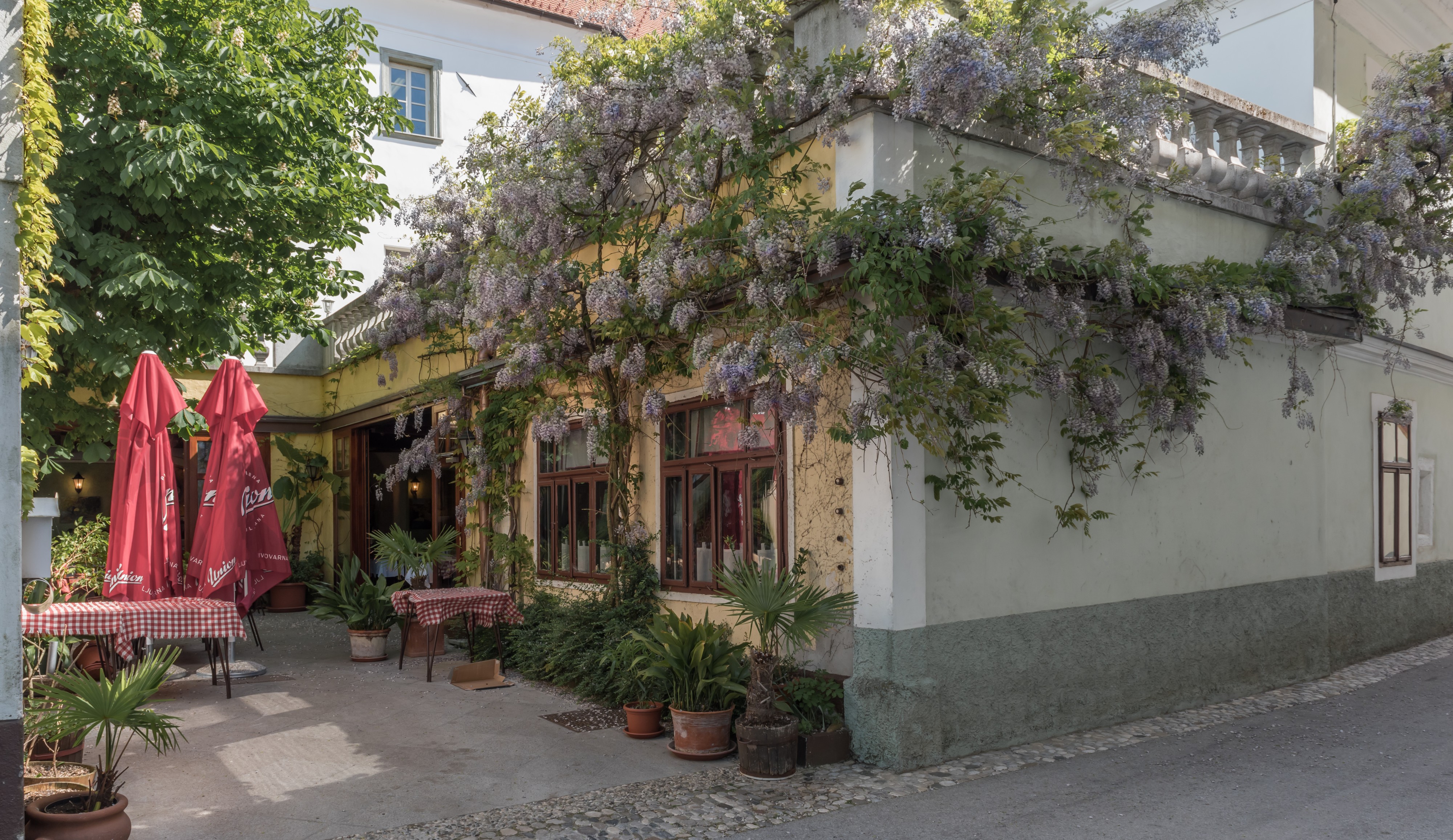 Radovljica Linhartov Trg 2 Gostilna Lectar 13052015 3714