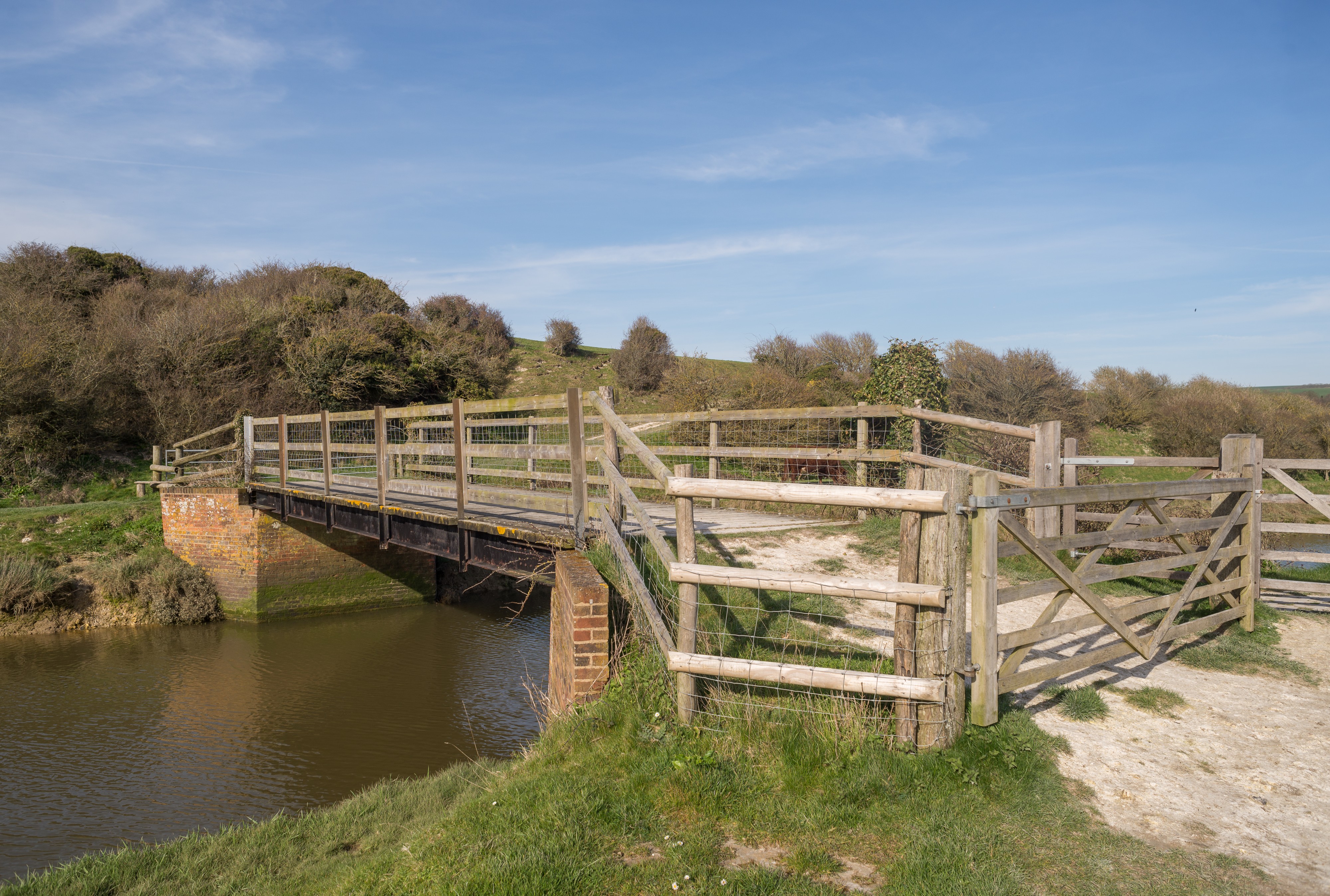 River Cuckmere April 2018 02