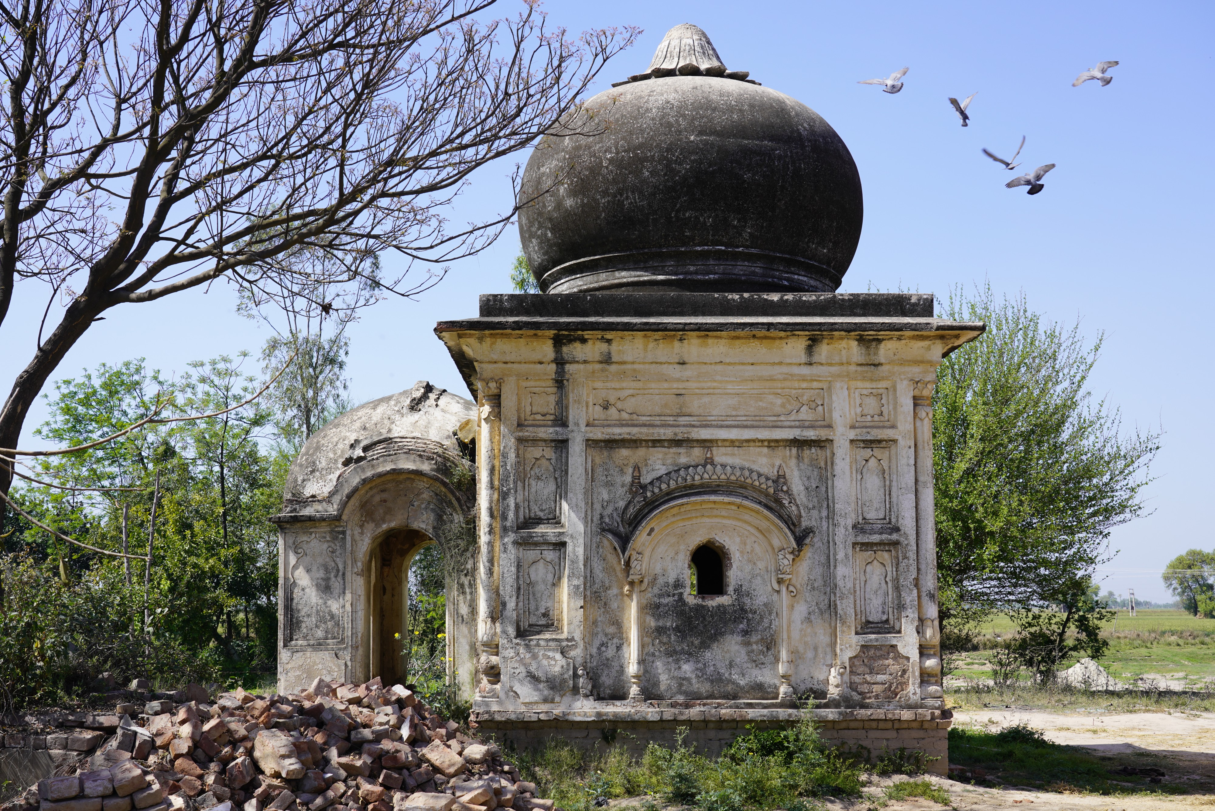 Ruins near village Arnauli