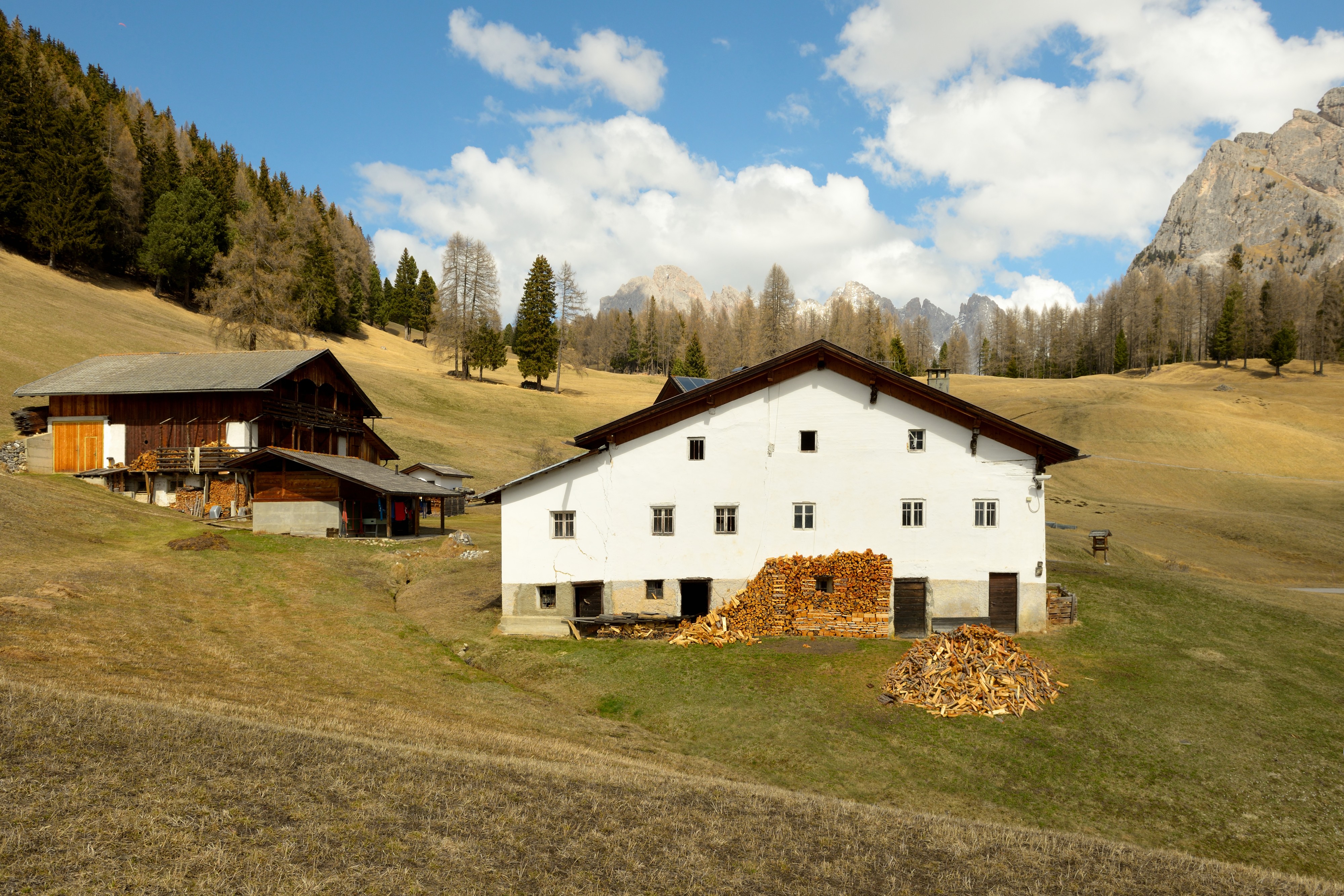 Selva luech de Tubla Gherdeina