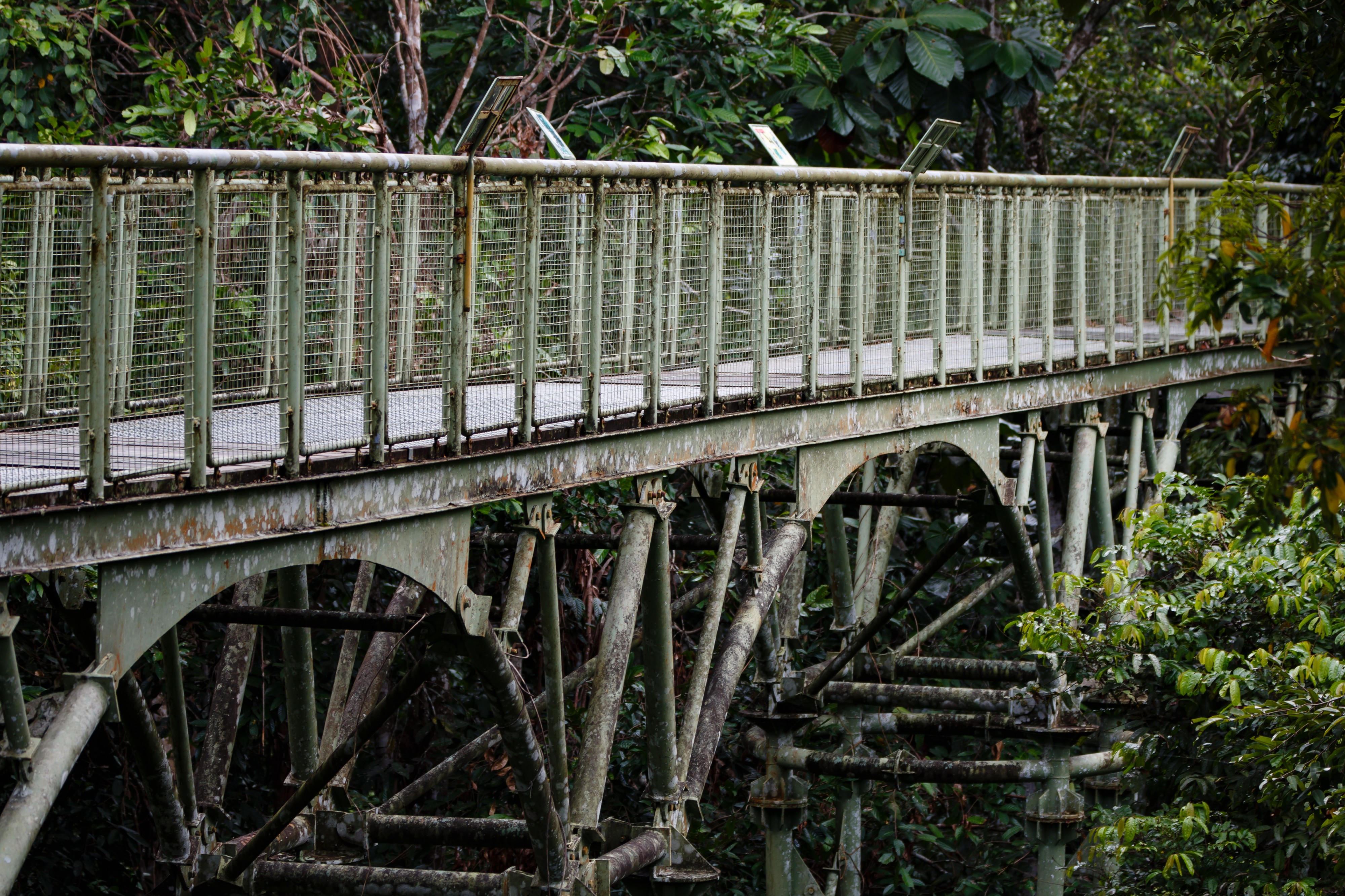 Sepilok Sabah Rainforest-Discovery-Centre-02