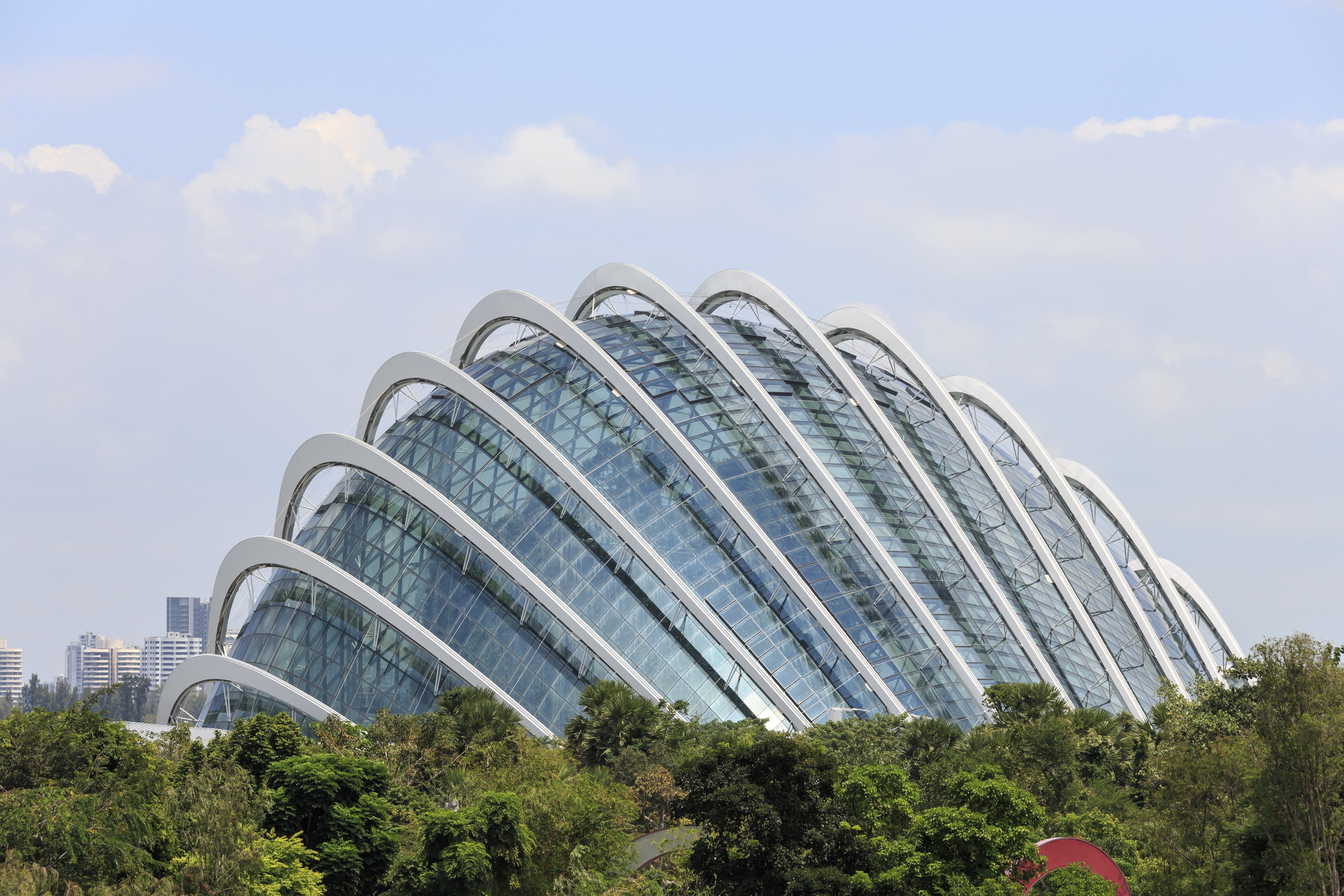 Singapore Cloud-Forest-in-The-Gardens-01