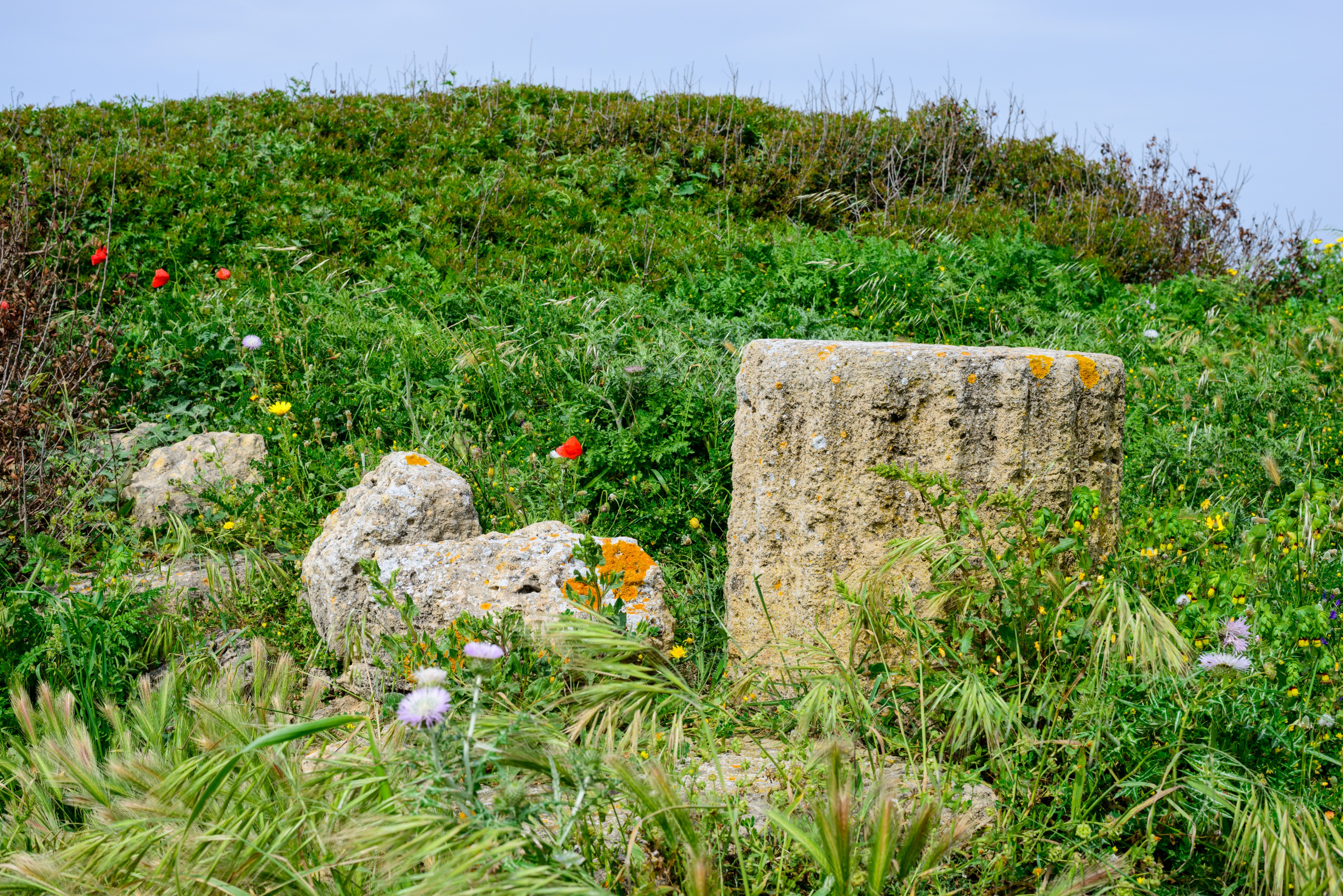Tharros - Sardinia - Italy - 05