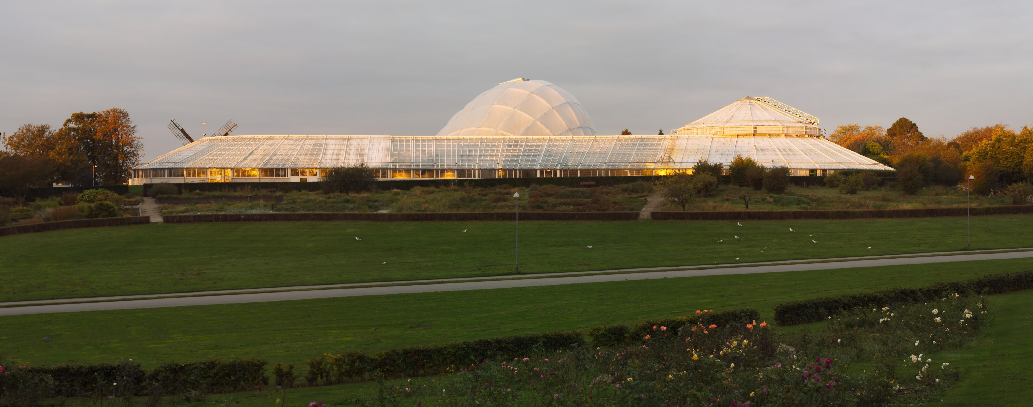 Væksthuset botanisk have Aarhus