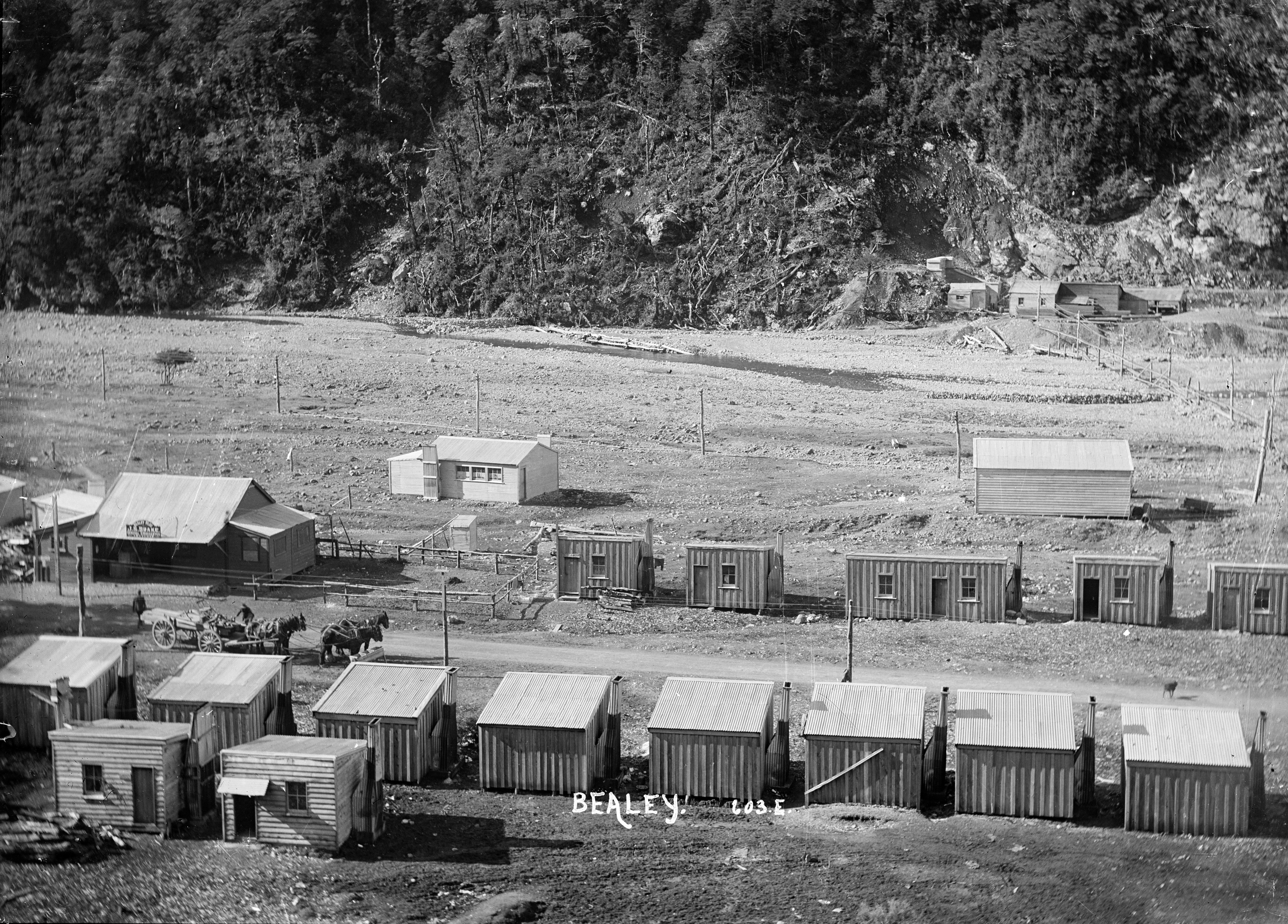 View of Bealey Flat, 1910
