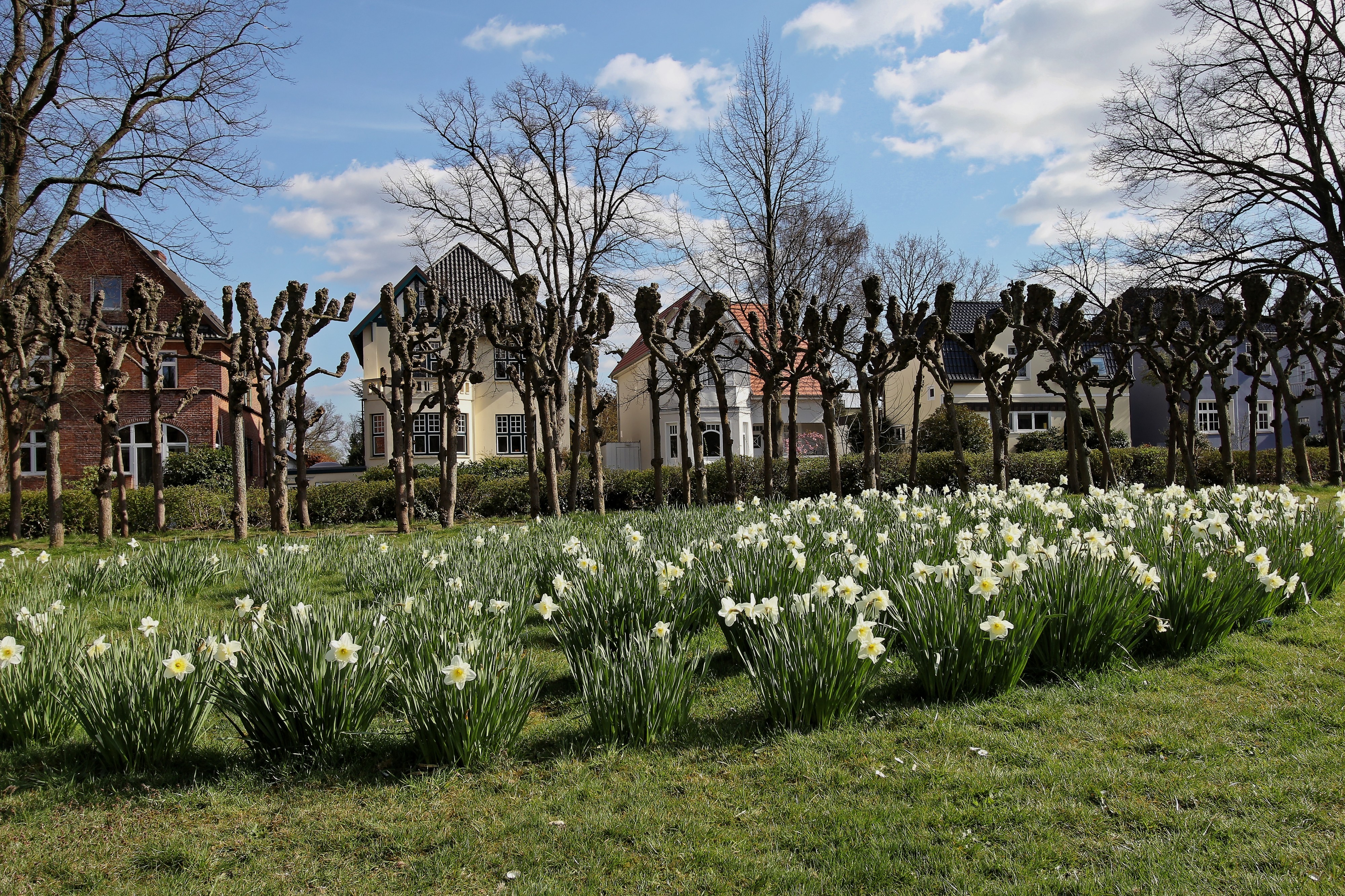 Wacholderpark Fuhlsbüttel 05