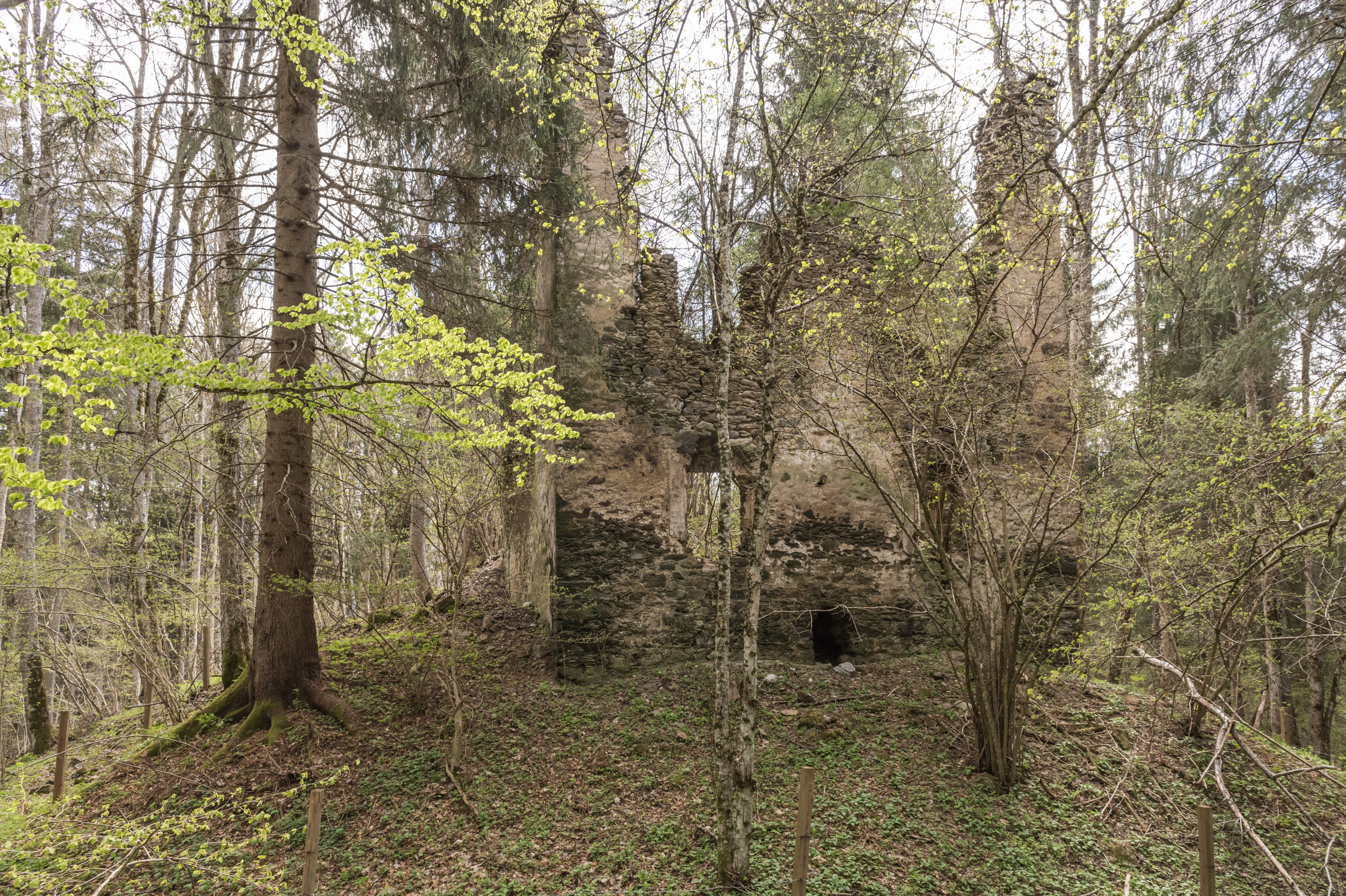 Weitensfeld Wullross Burgruine Nord-Ansicht 17042016 1495