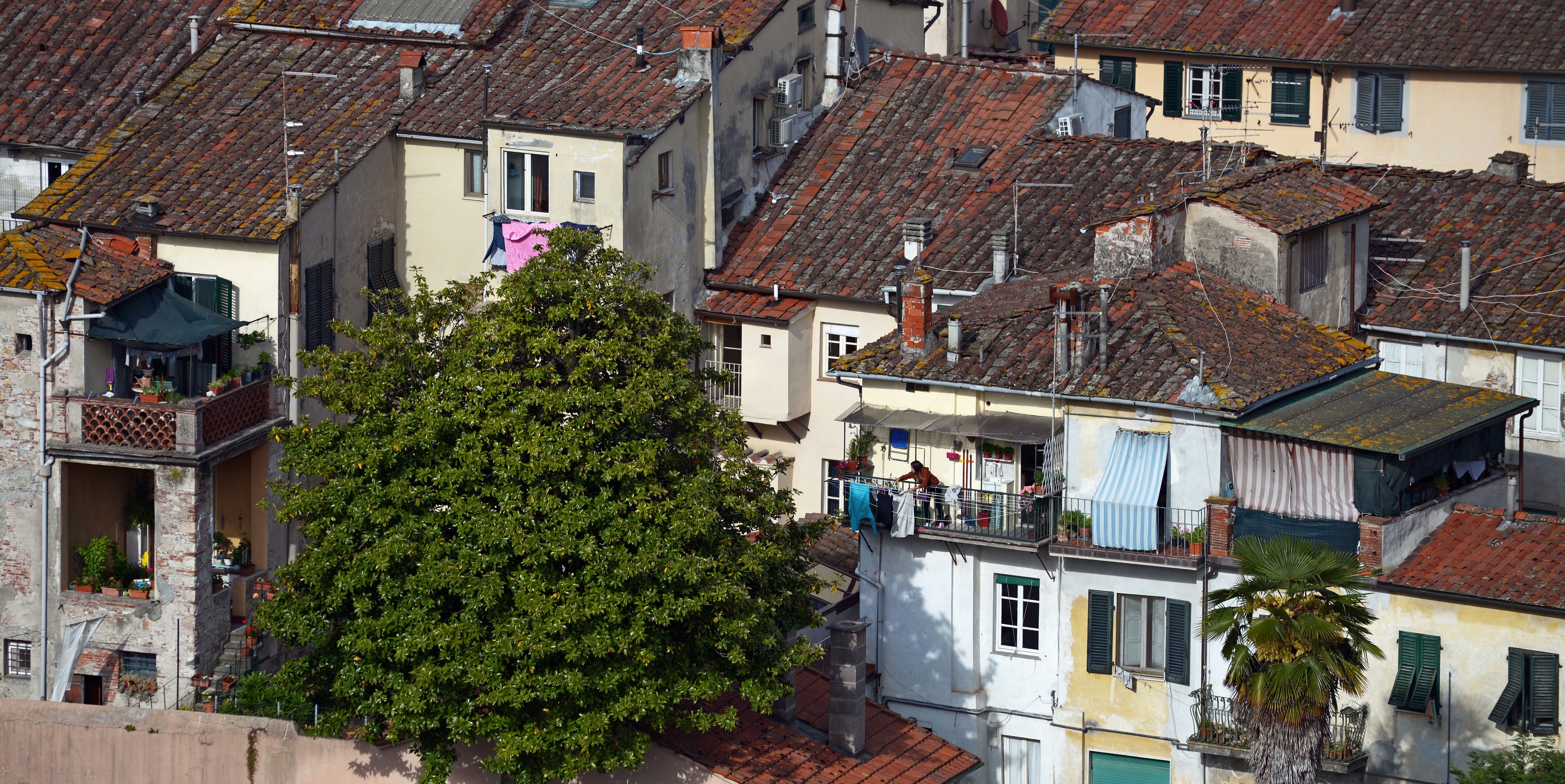 Young housewife. Lucca, Italy