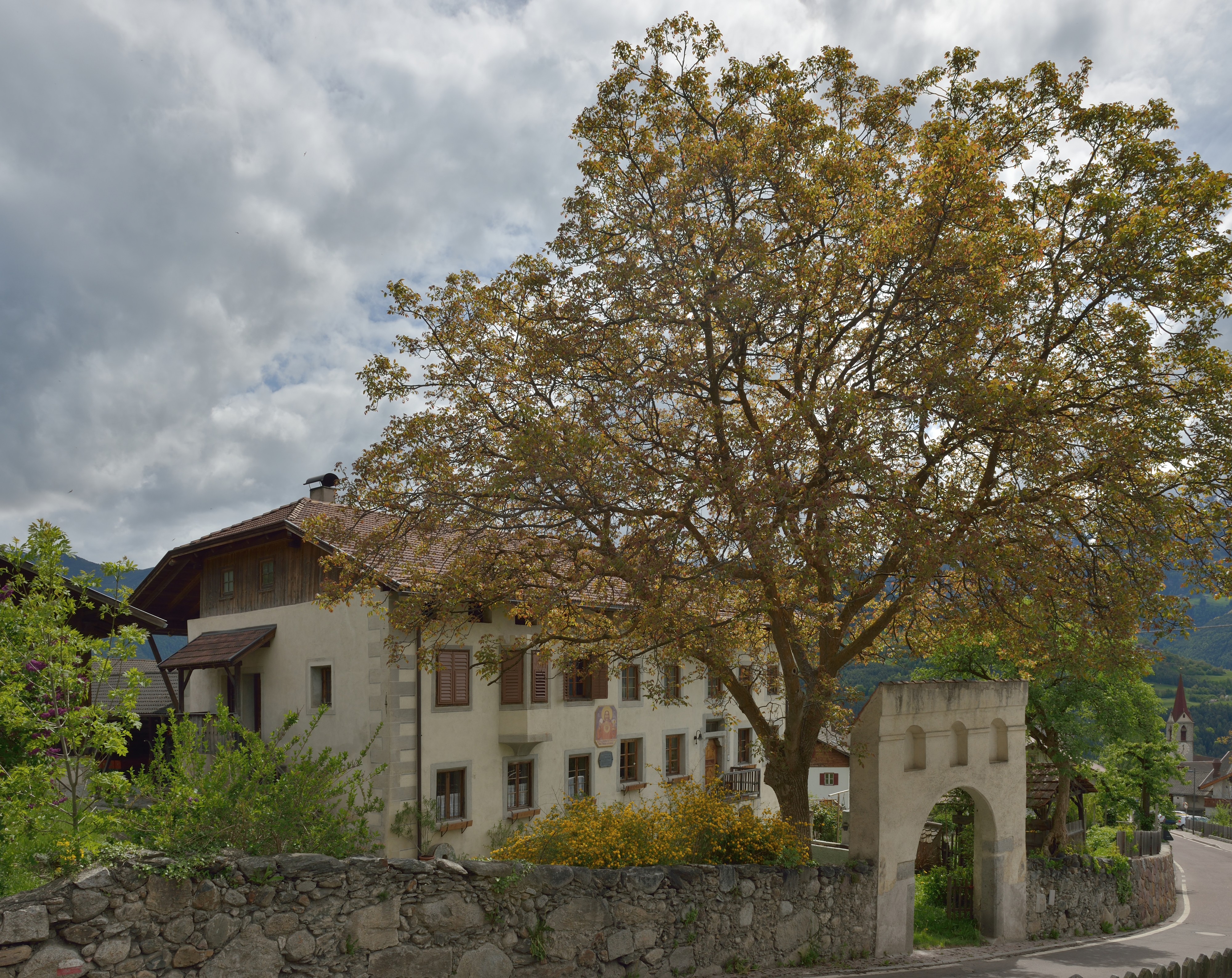 Ziernfeld Feldthurns Westansicht