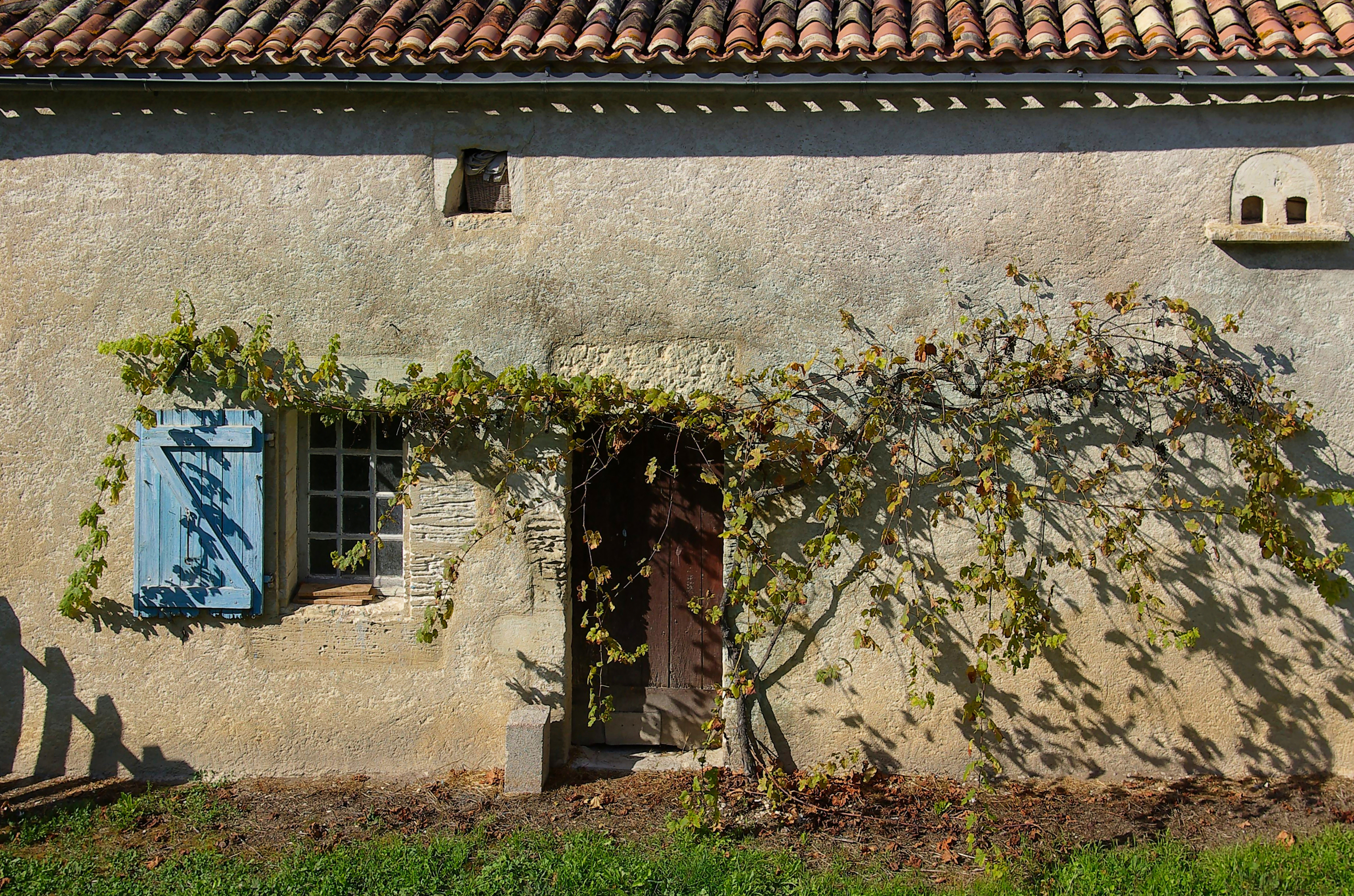 Torsac 16 Porte&treille 2008