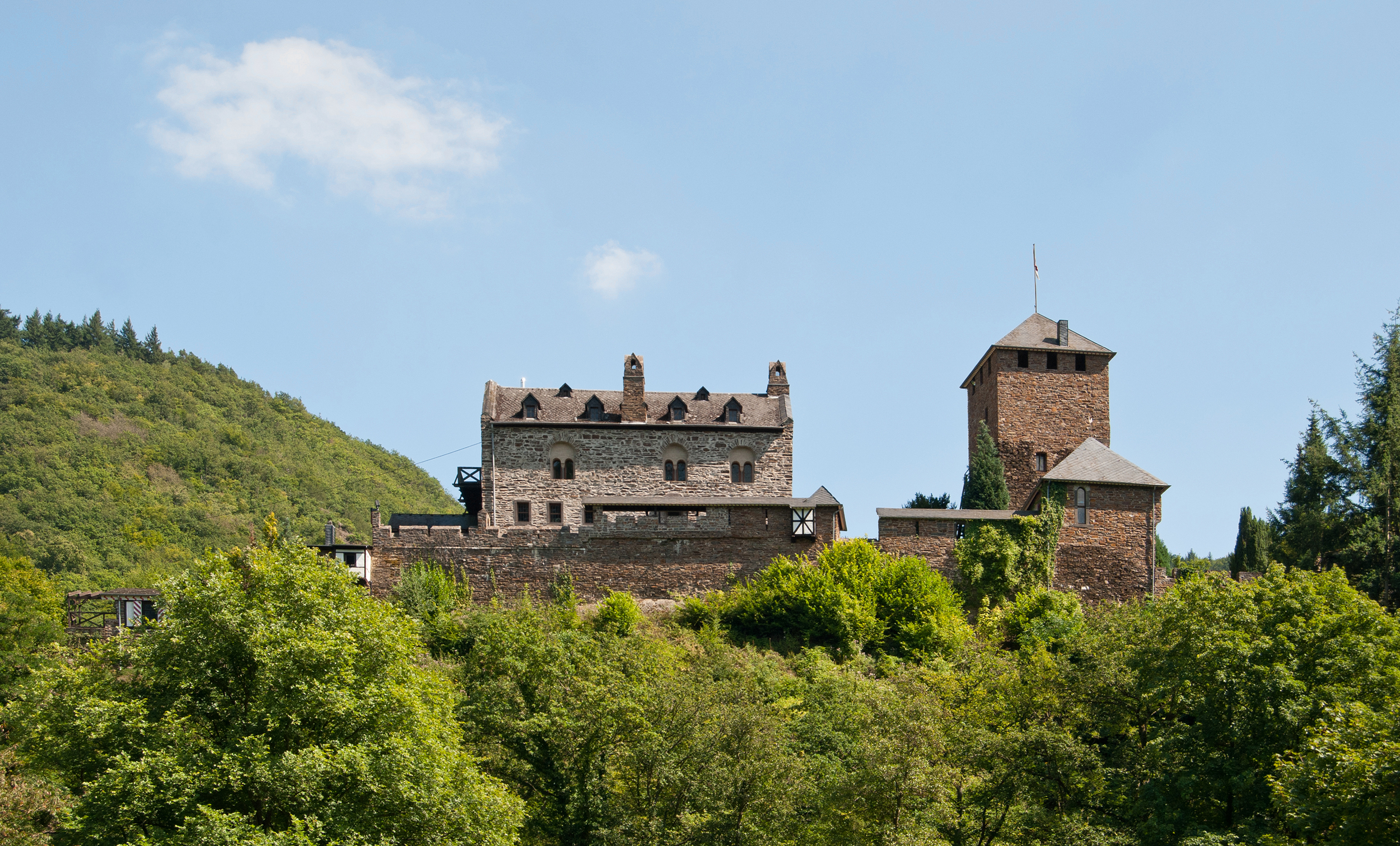 Treis-Karden, Wildburg, 2012-08 CN-01