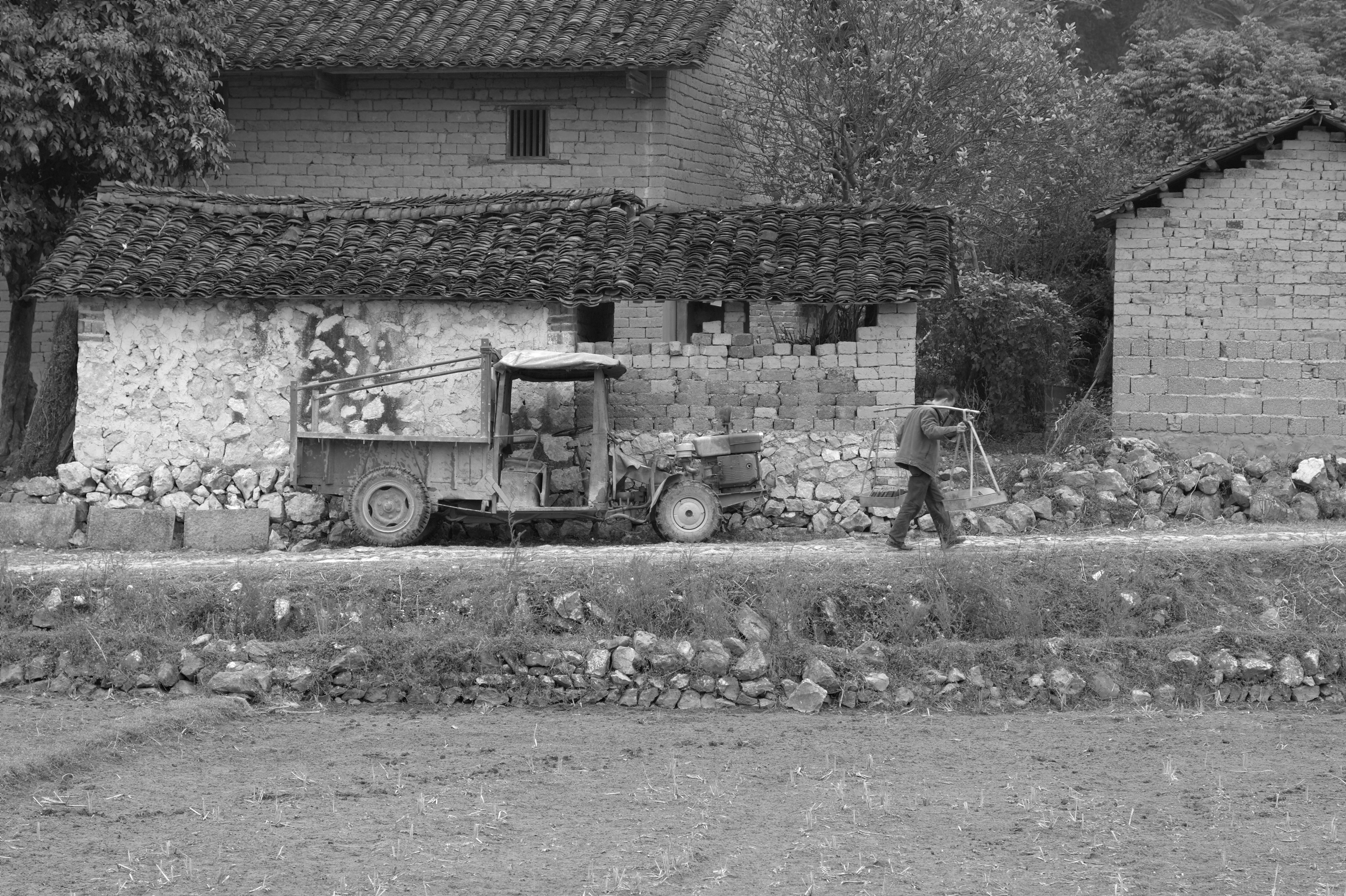 Typical farm in China