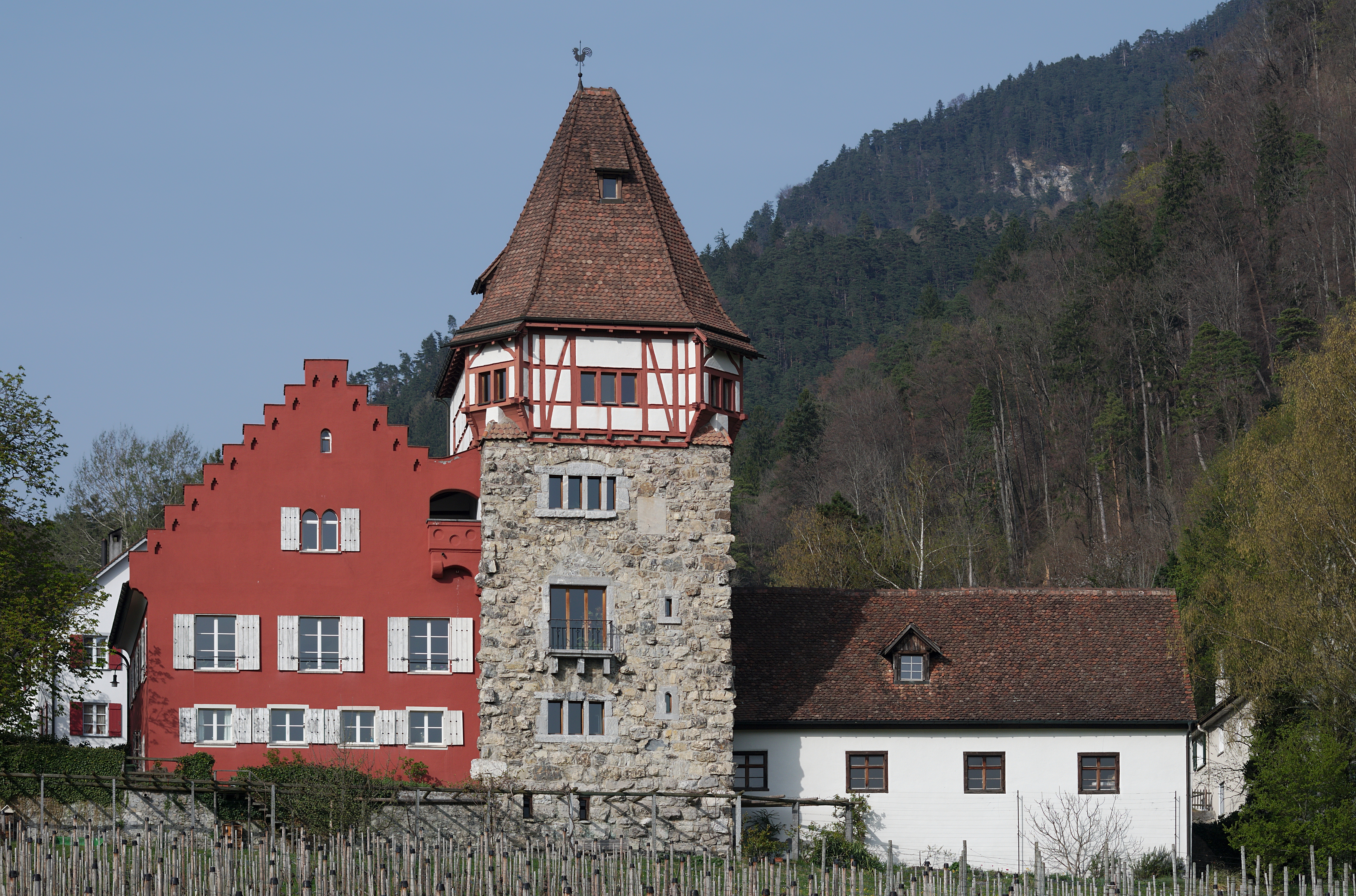 Vaduz - 31032014 - Rotehaus
