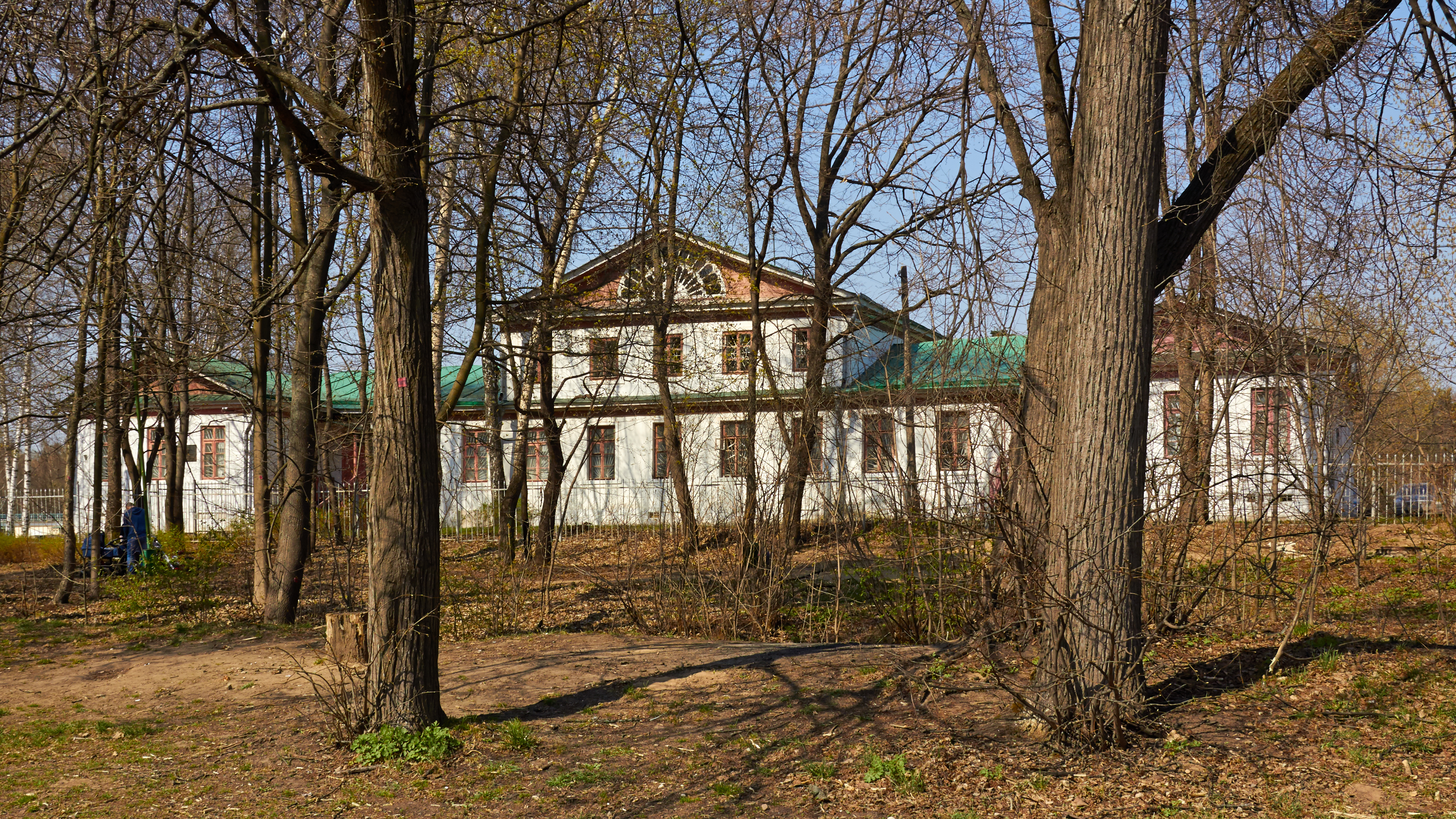 Vlakhernskoye-Kuzminki (01)