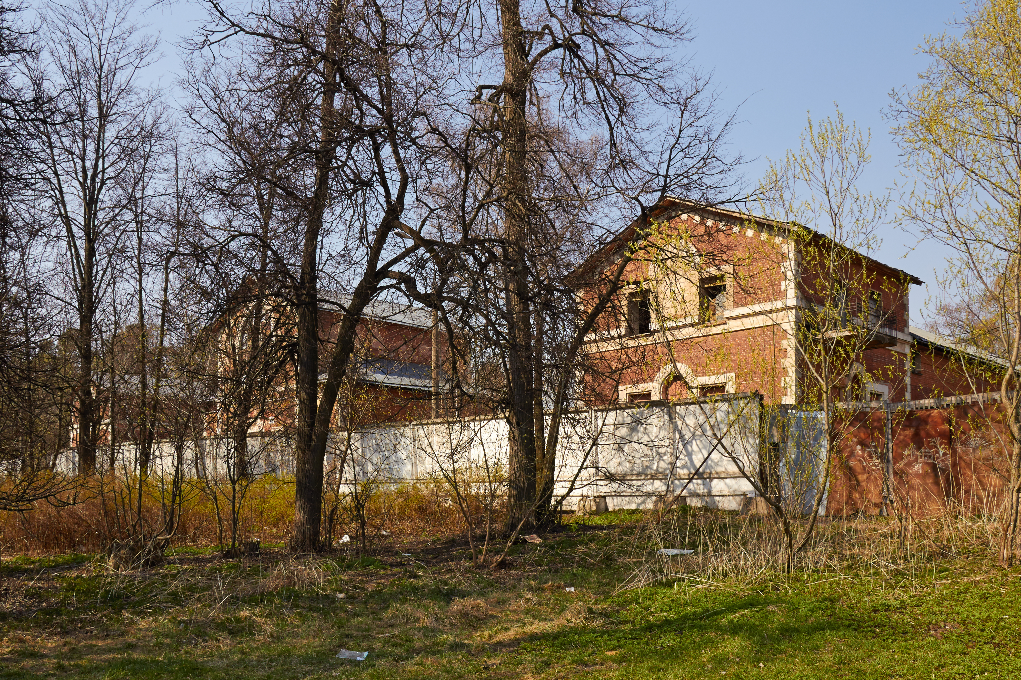 Vlakhernskoye-Kuzminki (07)