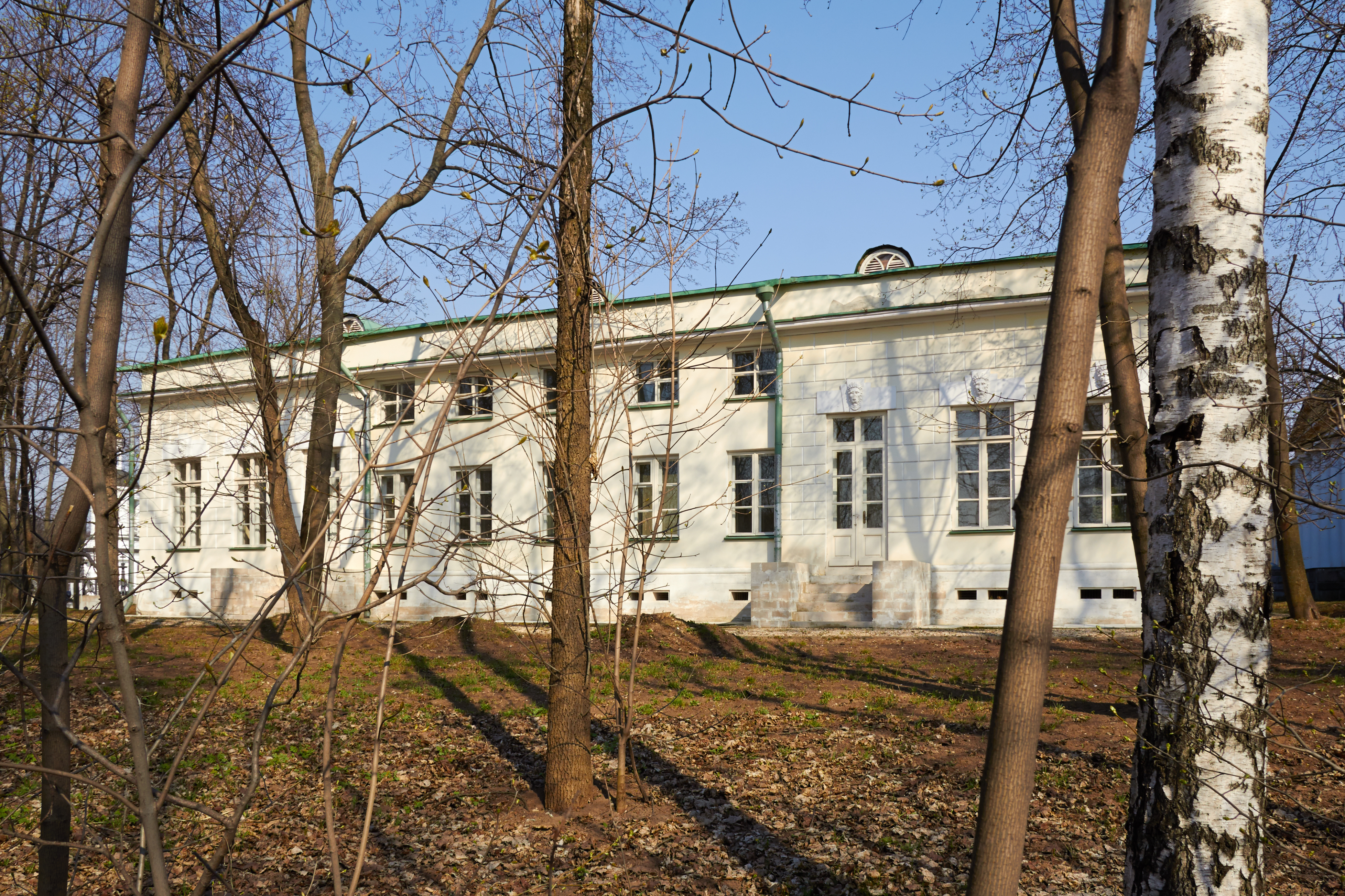 Vlakhernskoye-Kuzminki (18)