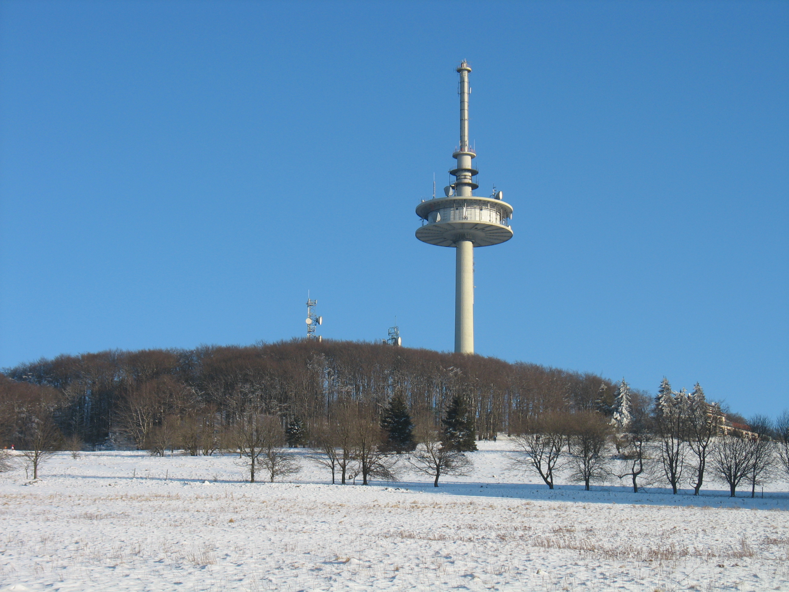 Vogelsberg Hoherodskopf02 2012-02-05