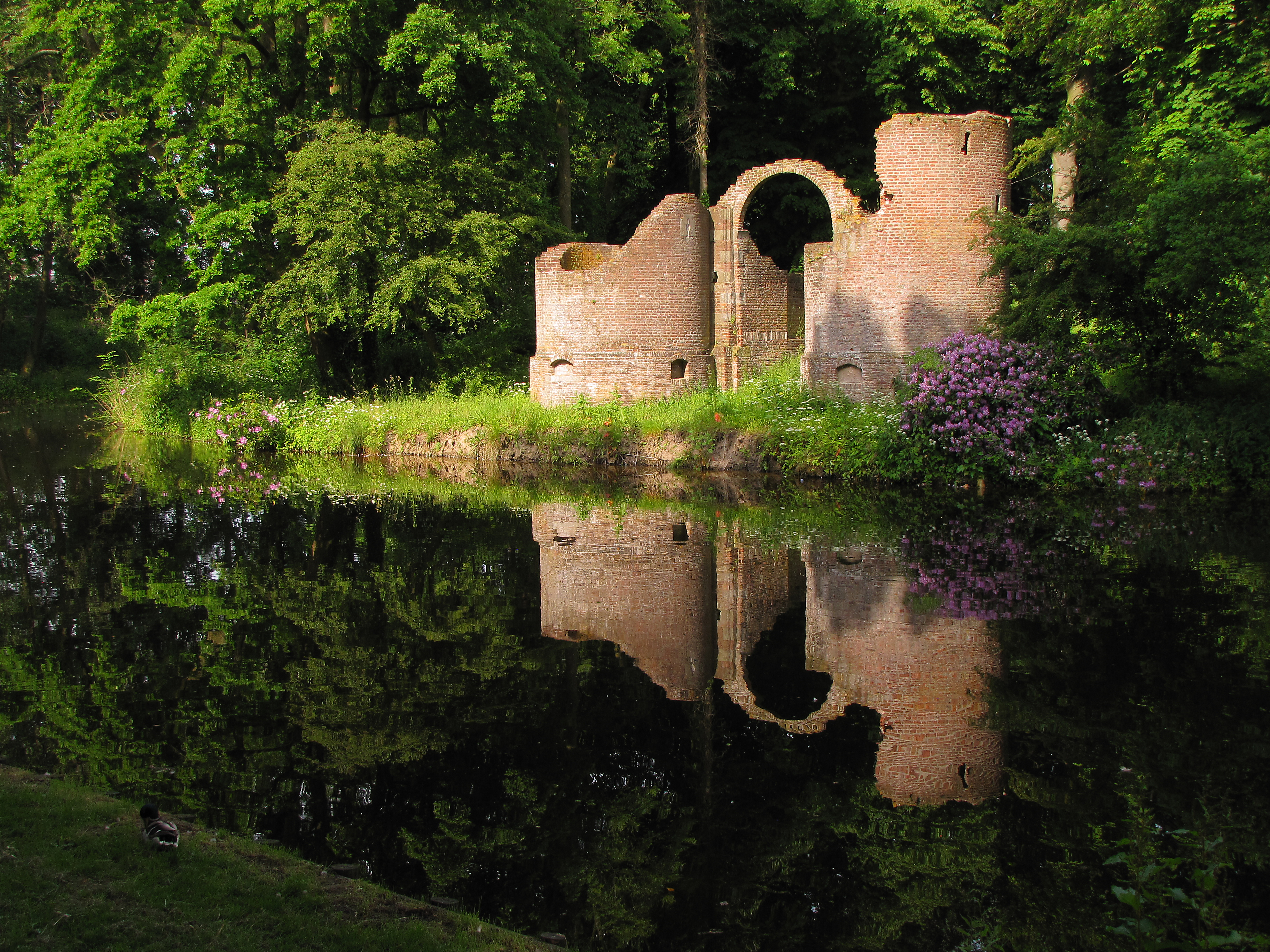 Vollenhove, ruïne Kasteel Toutenburg in park Oldruitenborgh RM520762