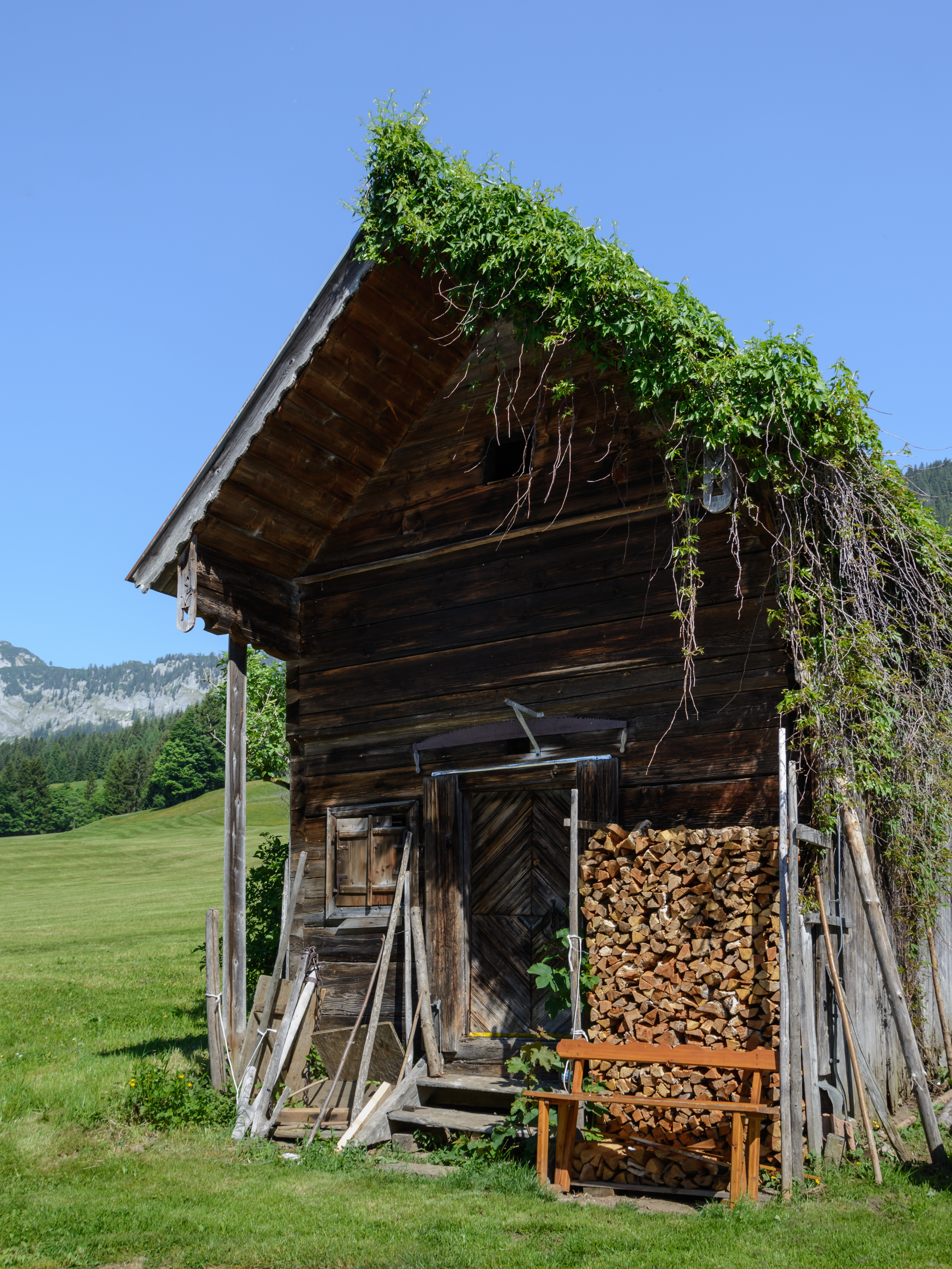 Wörschachwald Mojerhof Stadel