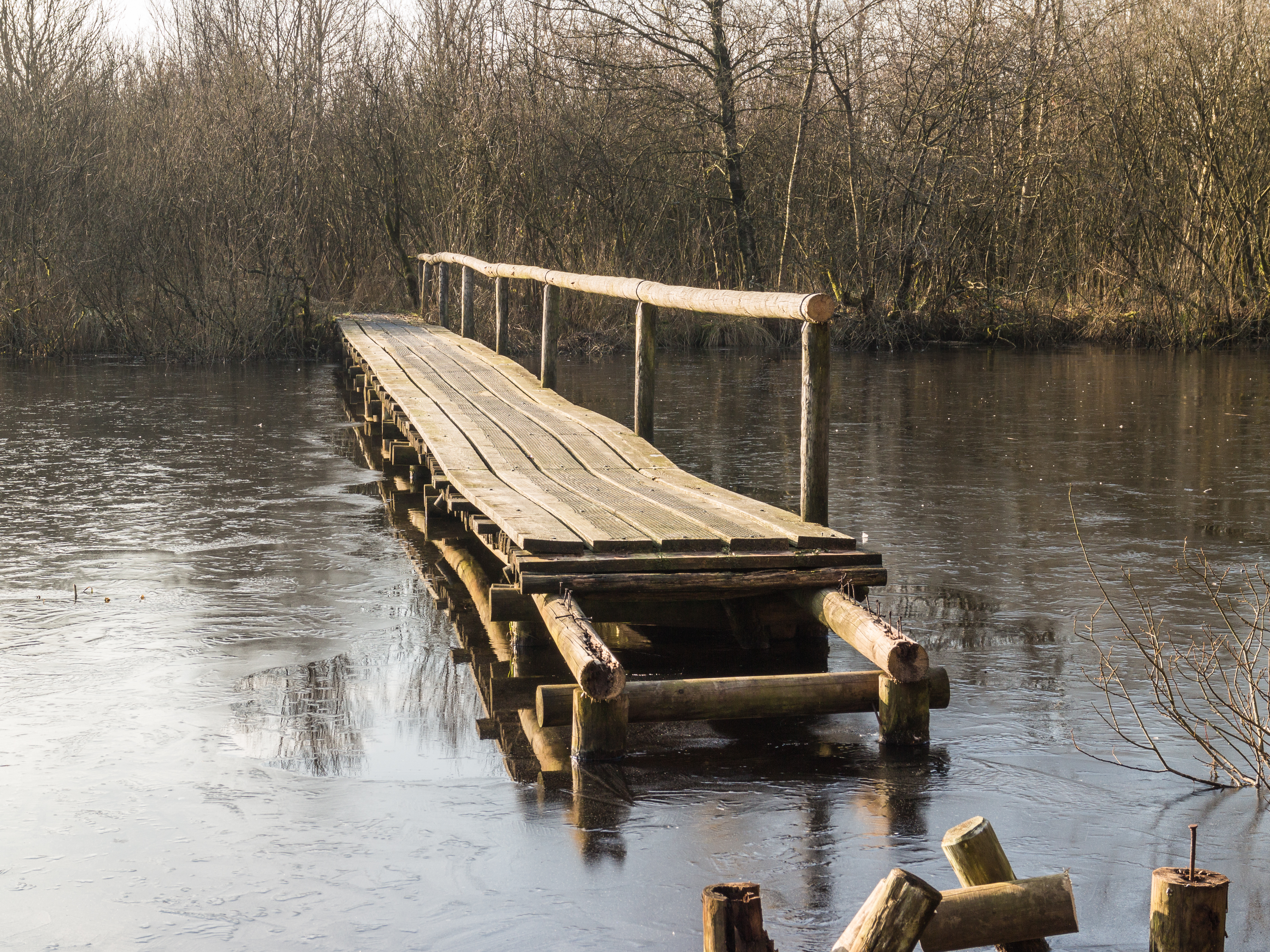 Wandelingen door de laagveenmoerassen De Deelen 033