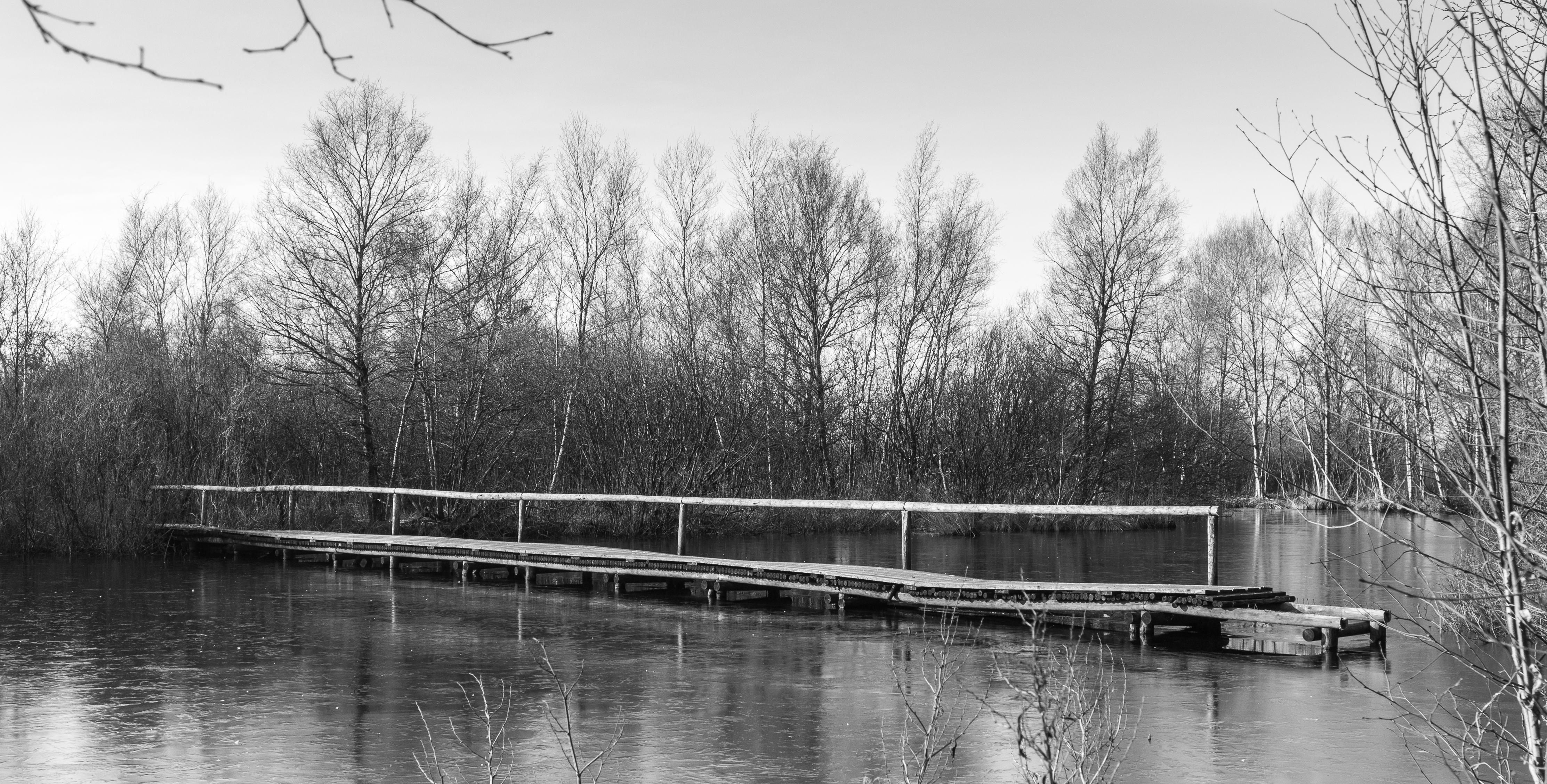 Wandelingen door de laagveenmoerassen De Deelen A 09