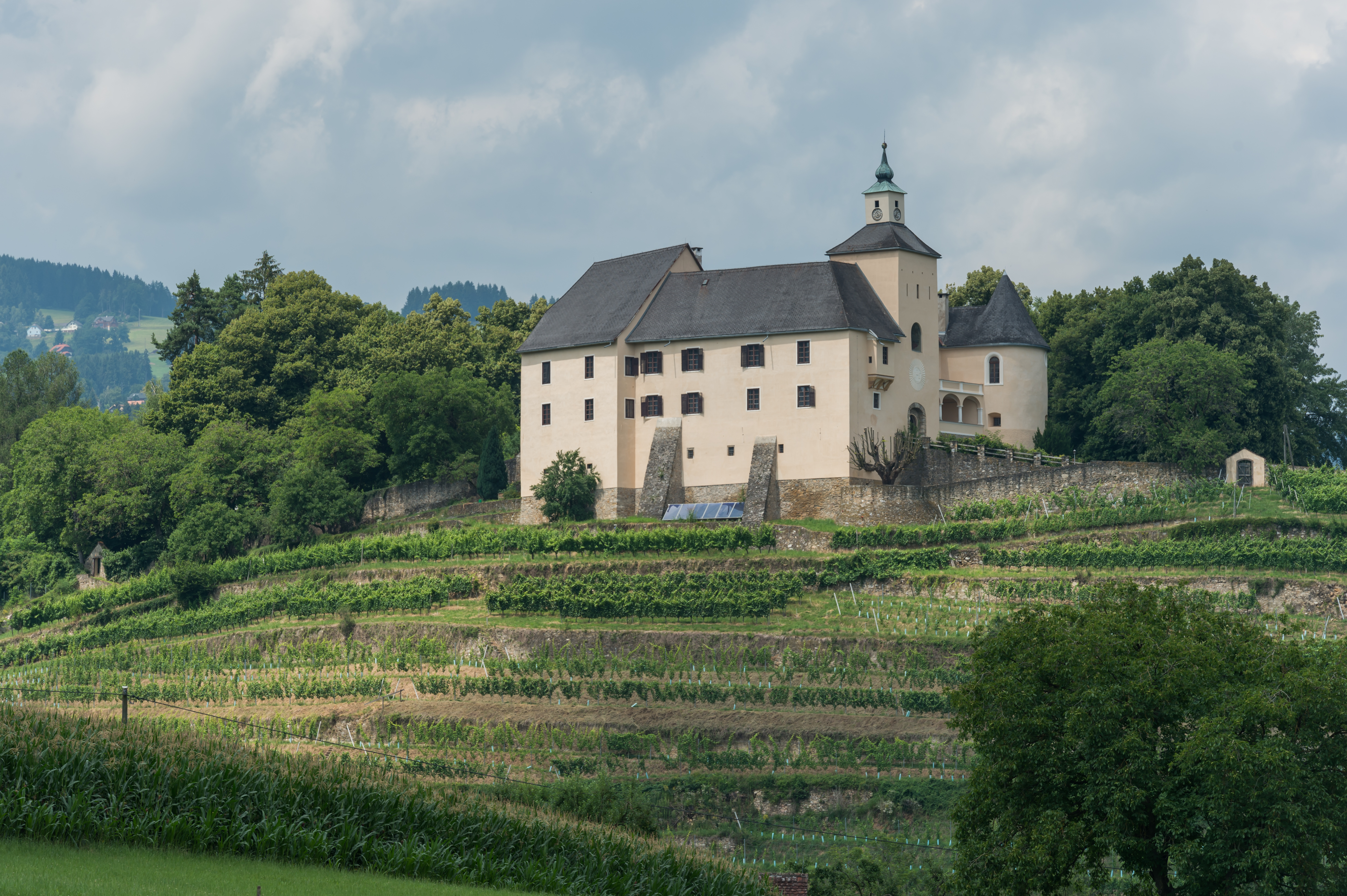 Wolfsberg Thuern 1 Schloss Thuern mit Weinberg 15072015 1285