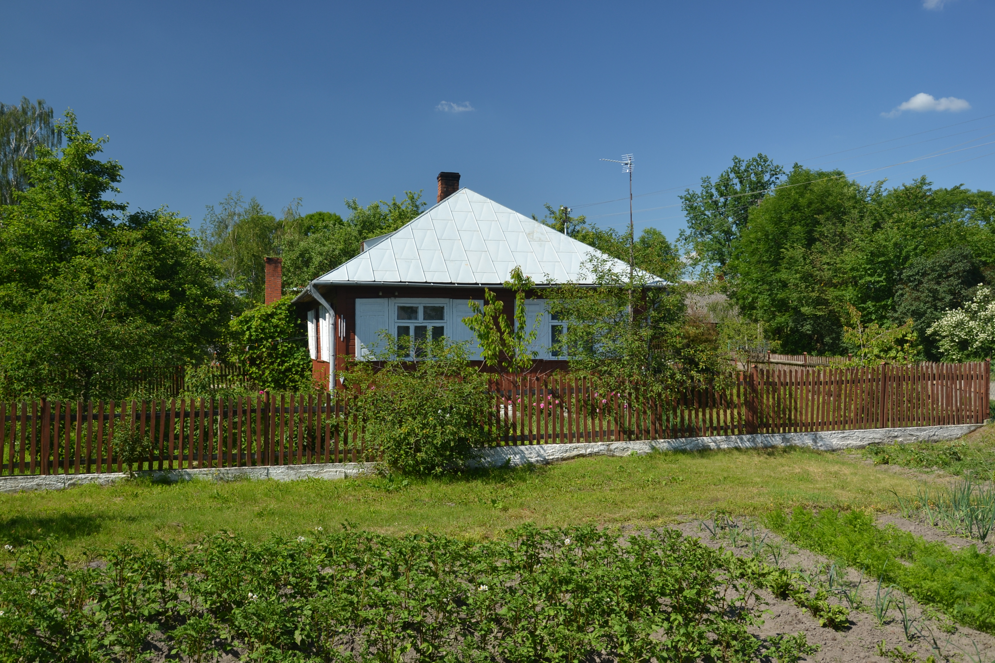 Wooden house in Dołhobrody, Poland (2)
