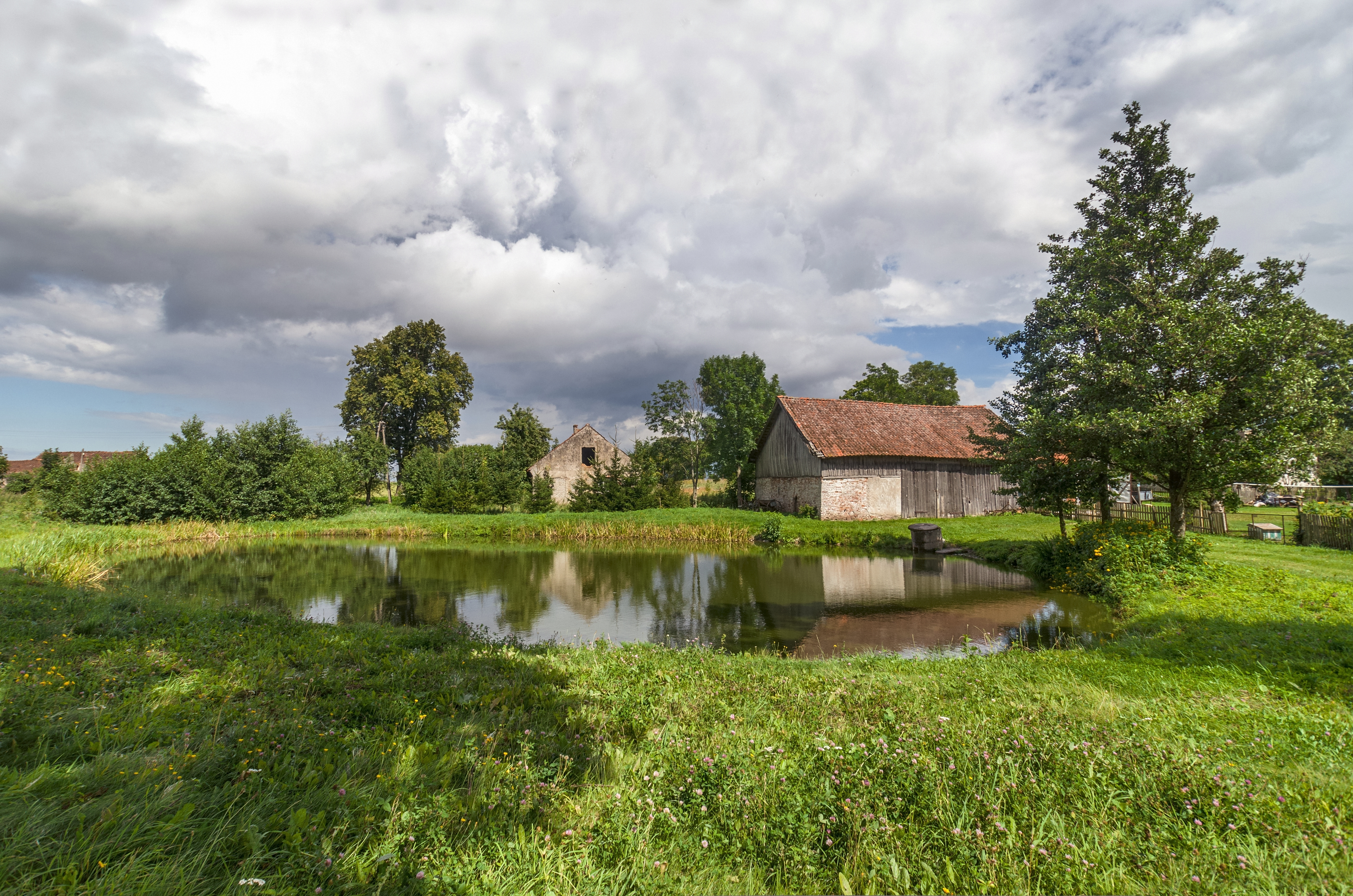 Wysoka Dąbrowa 01