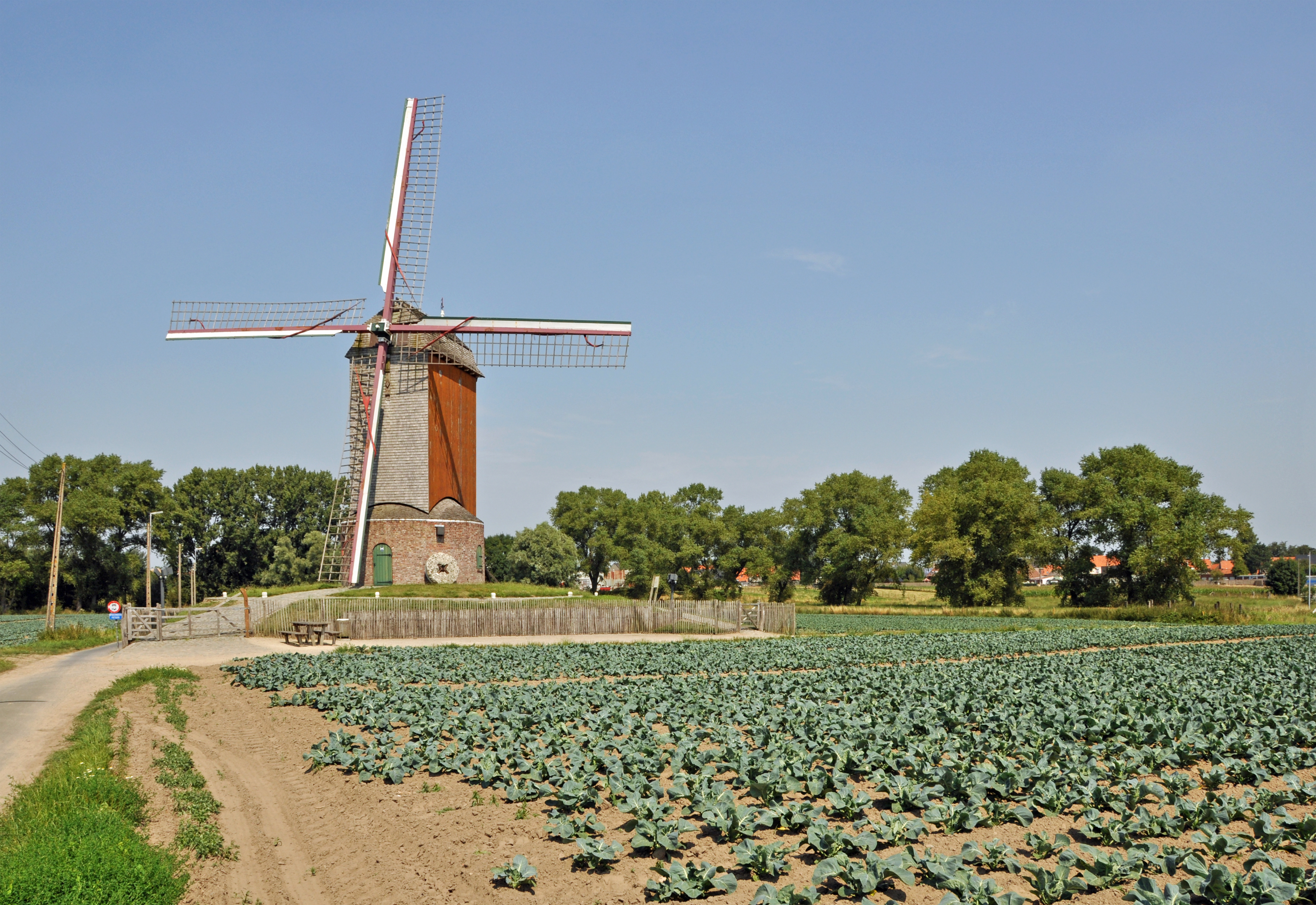 Zarren Wullepitmolen R03