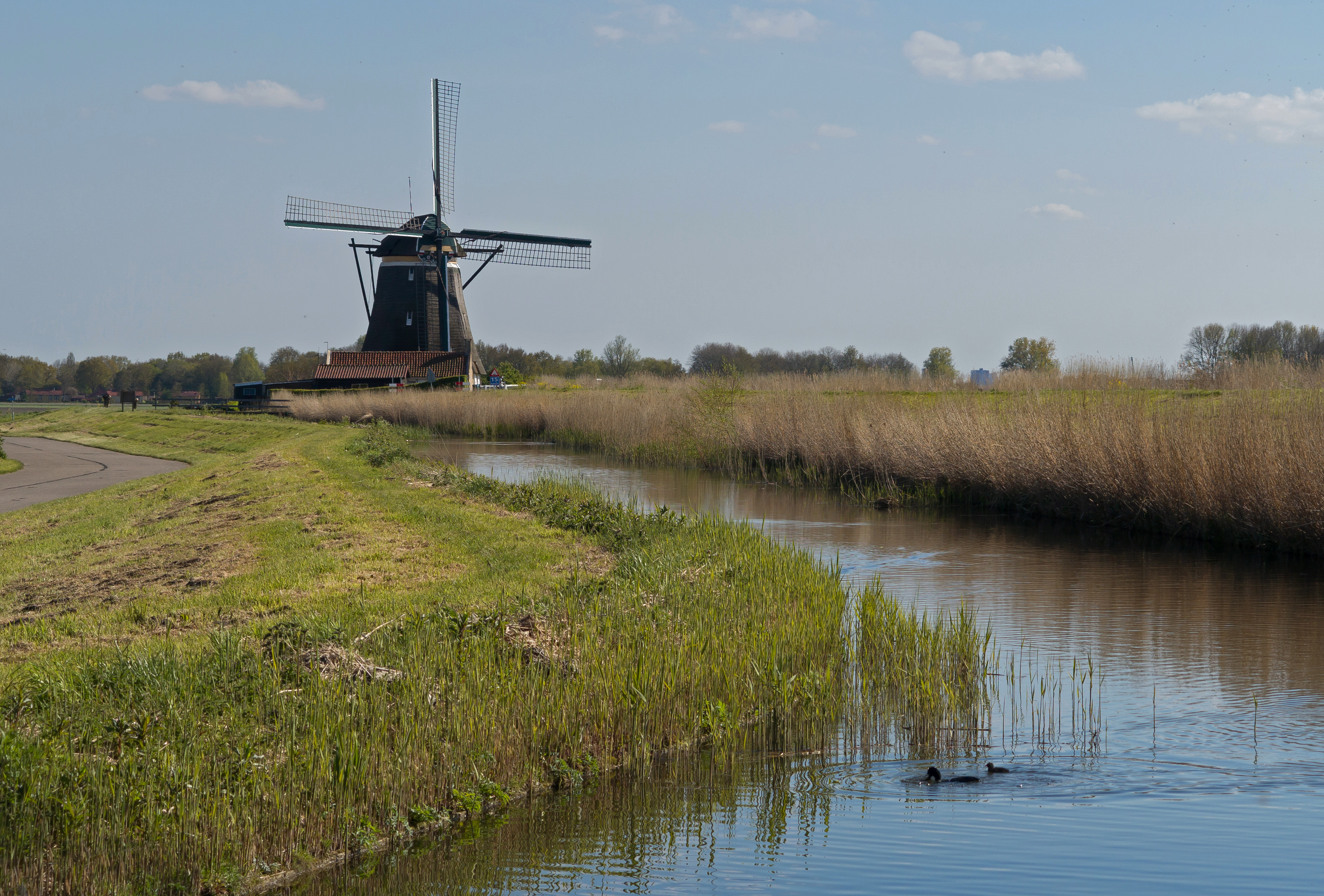 Zevenhuizen, de Tweemanspolder Molen No. 4 RM40456 foto4 2016-05-01 17.20