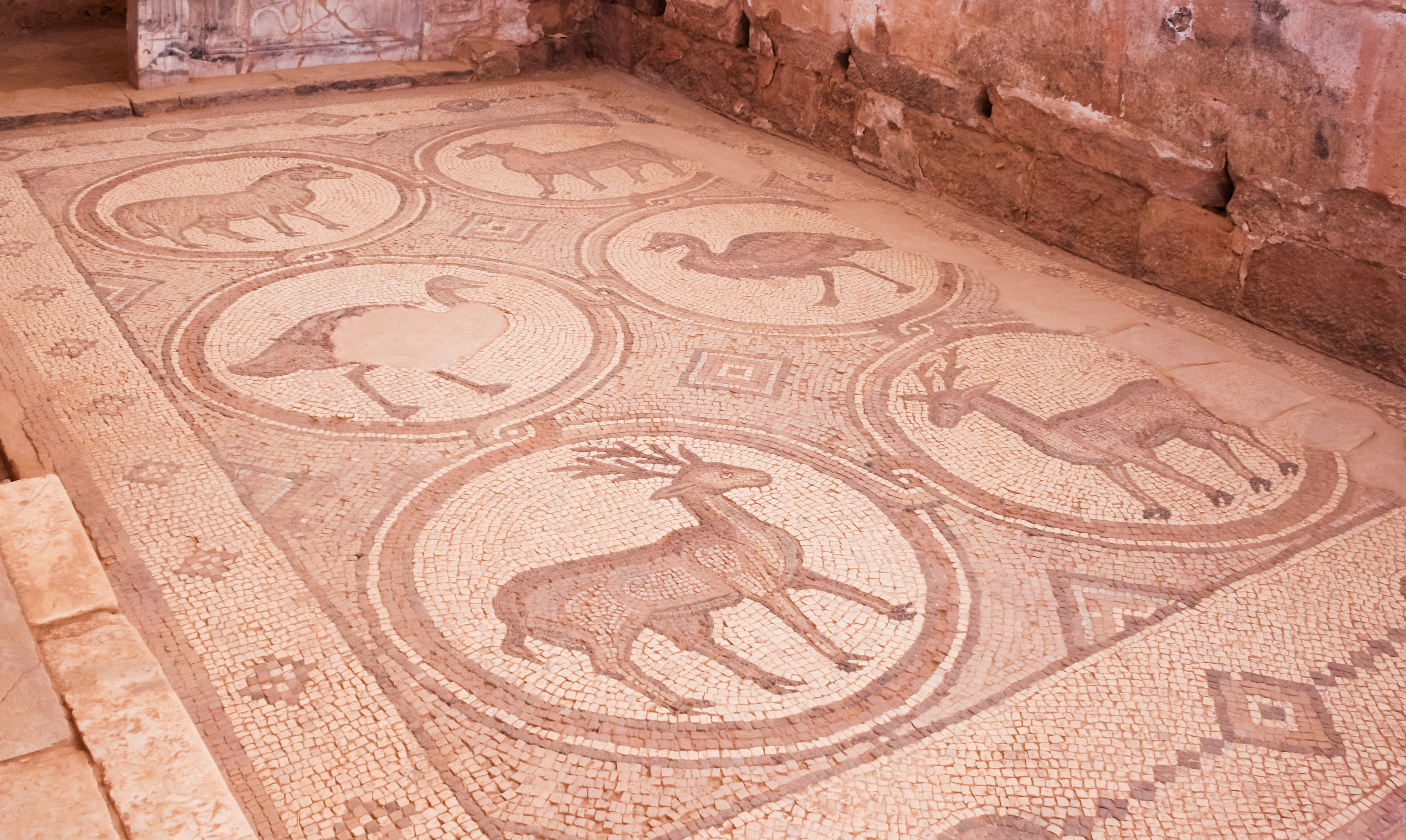 Mosaic of the Petra Church, Petra, Jordan4