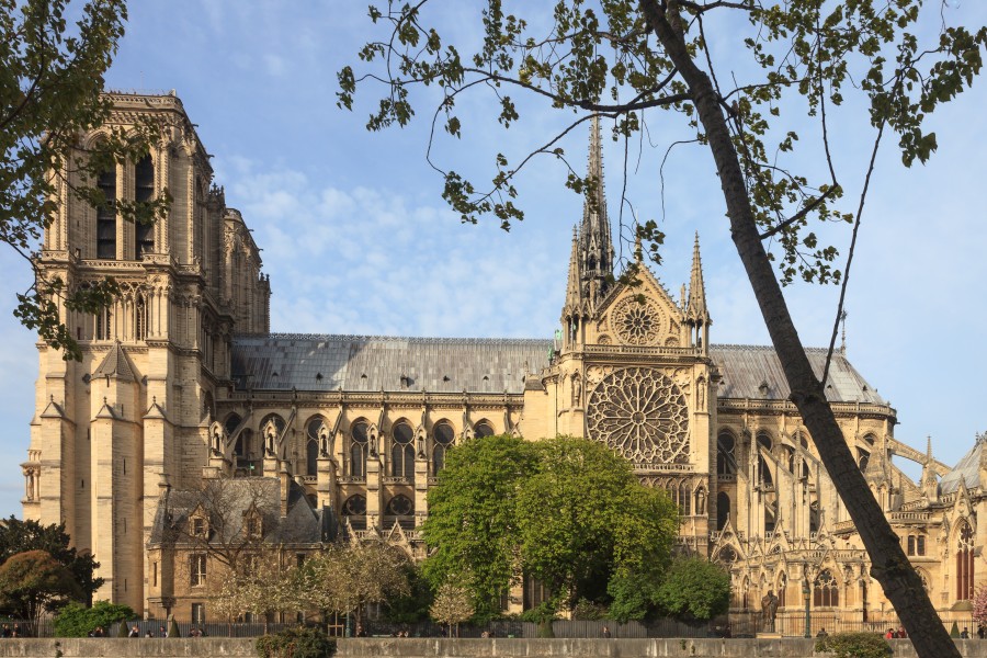 2017. Notre-Dame de Paris from the south'