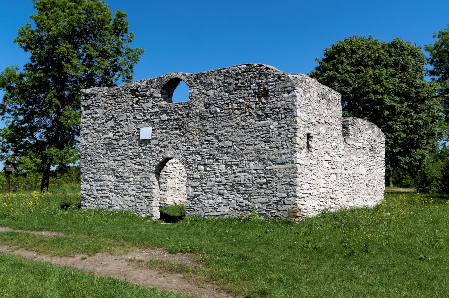 20170528 ruiny kościoła w Żarkach 6947