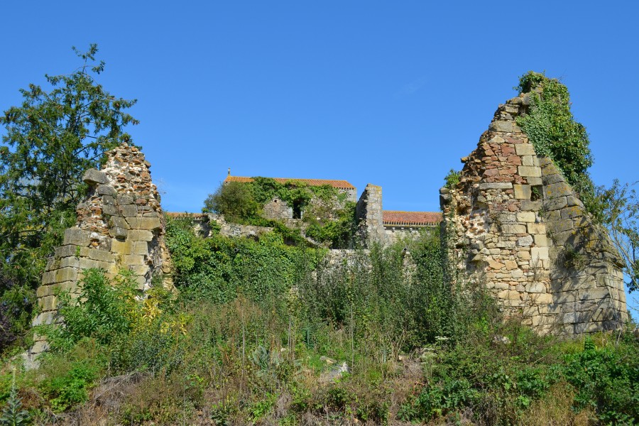 Abbaye des Fontenelles (ruines 3) - La Roche-sur-Yon