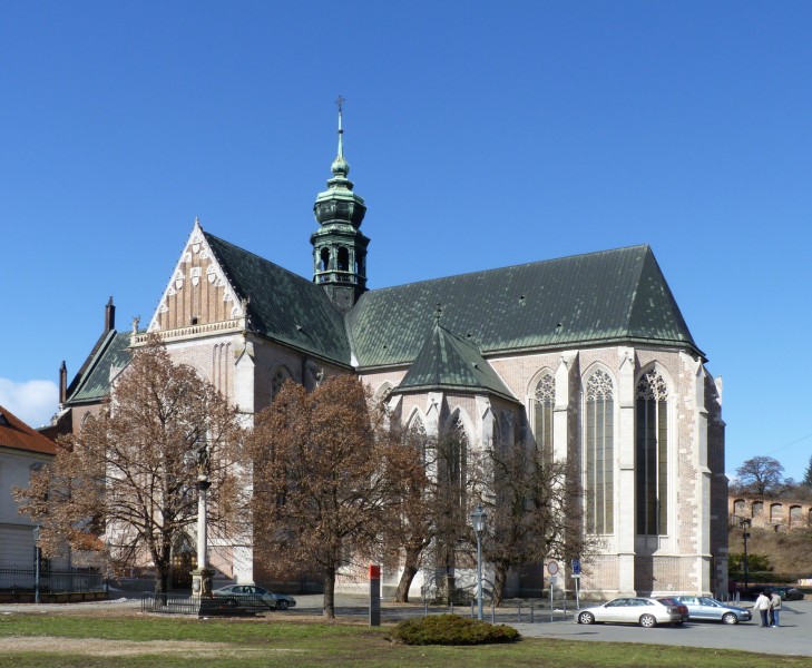Bazilika Nanebevzetí Panny Marie (Brno)