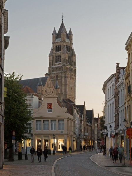 Brugge, de Sint-Salvatorskathedraal (oeg29716) vanuit de Steenstraat foto2 2015-09-27 19.36